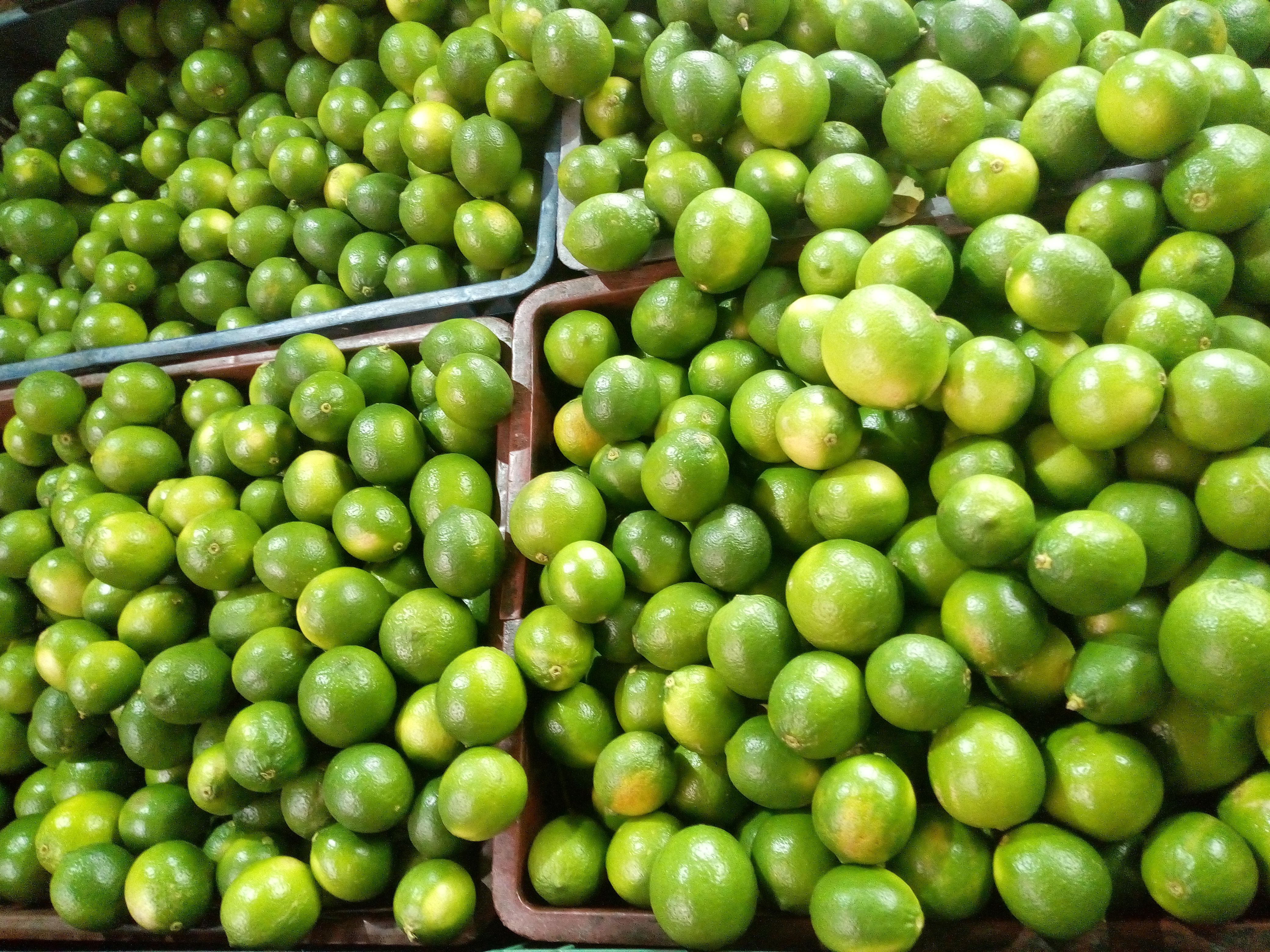 Limón