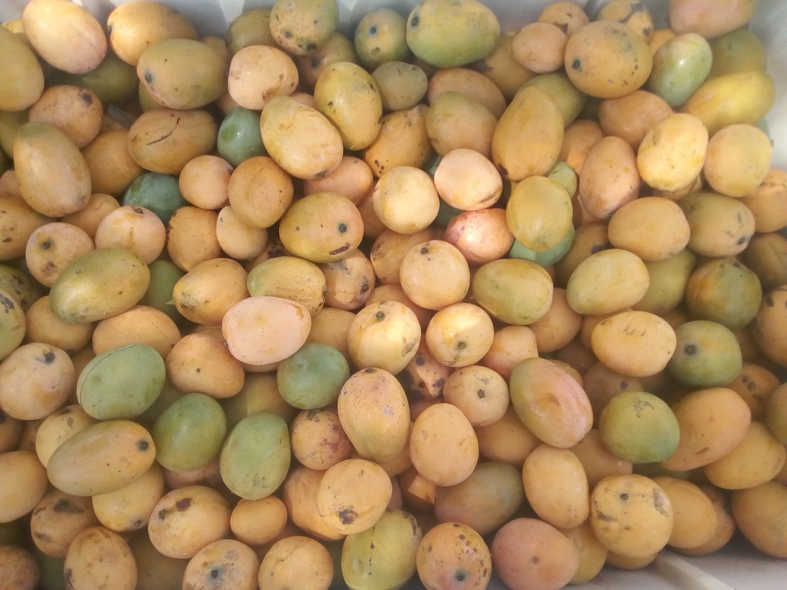 Mango de hilaza
