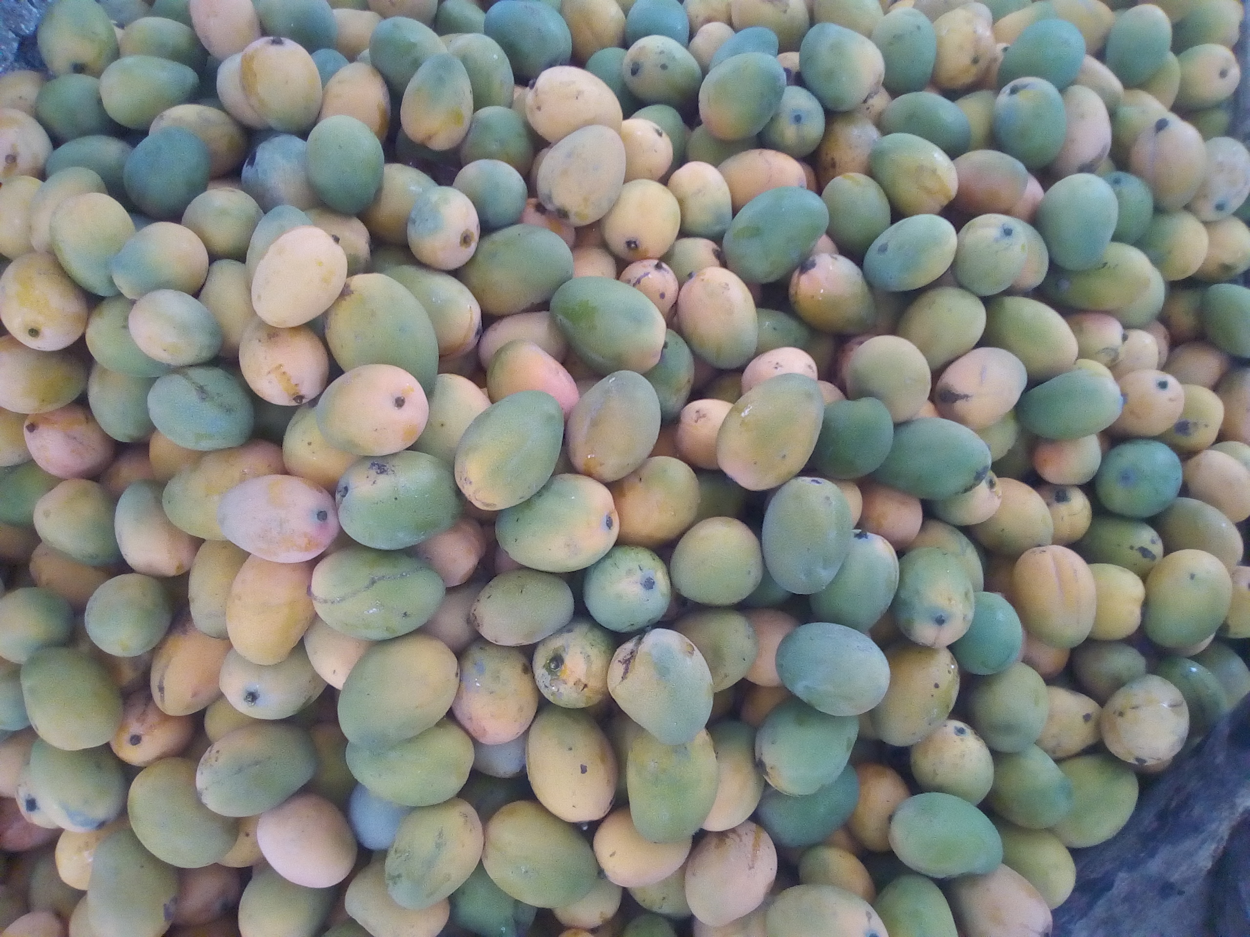Mango de hilaza