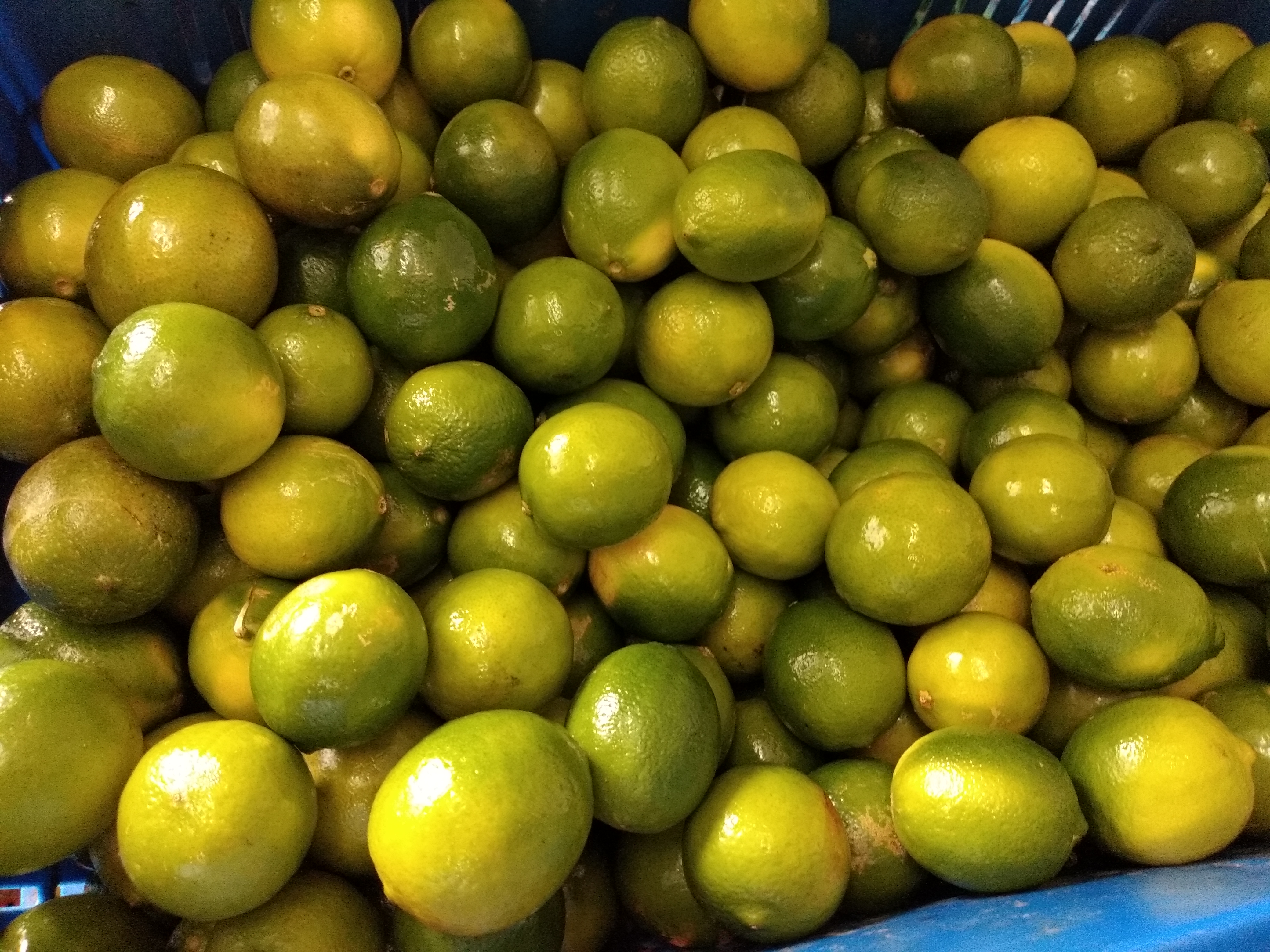 Limón Tahití