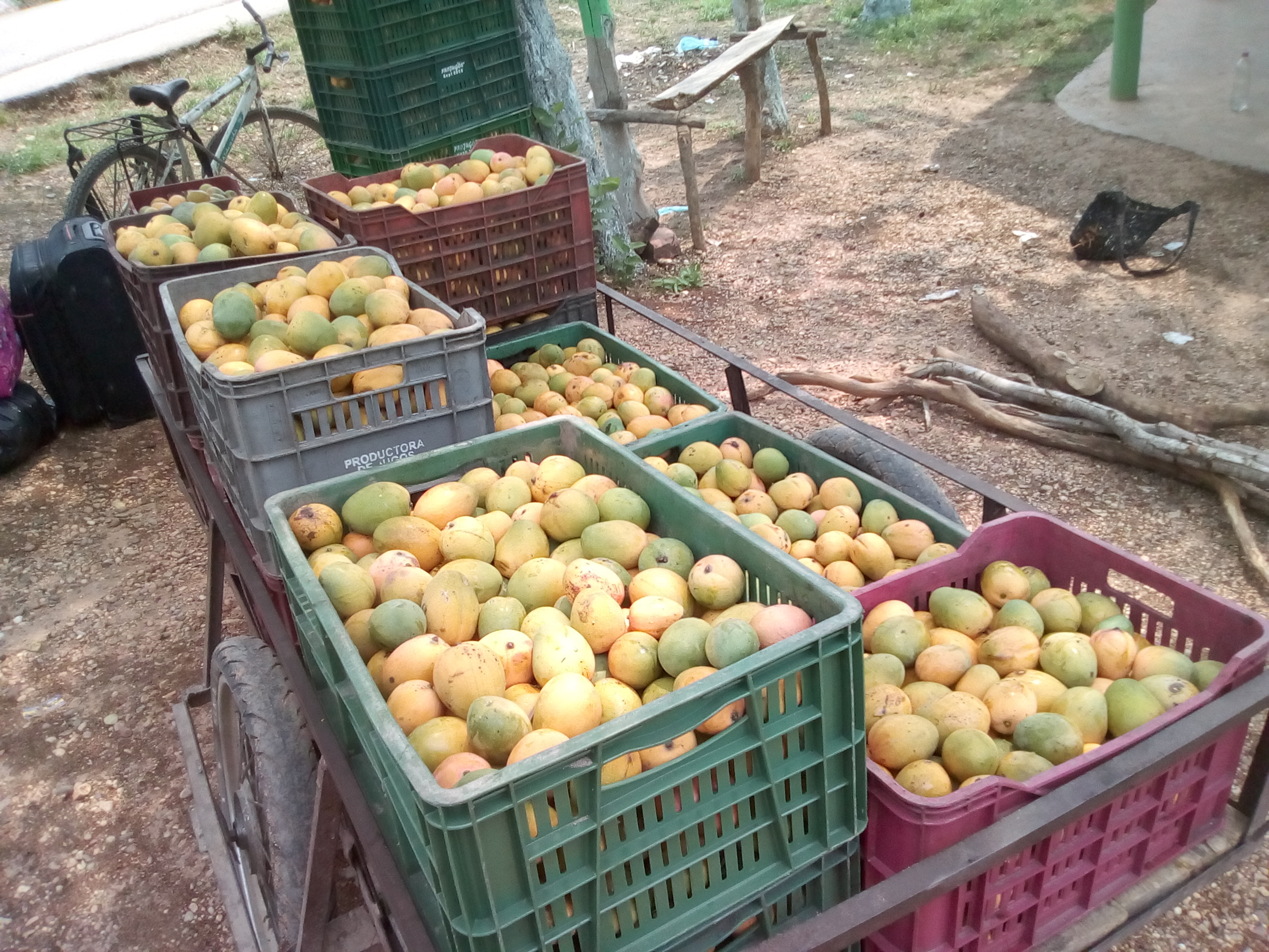 Mango de hilaza
