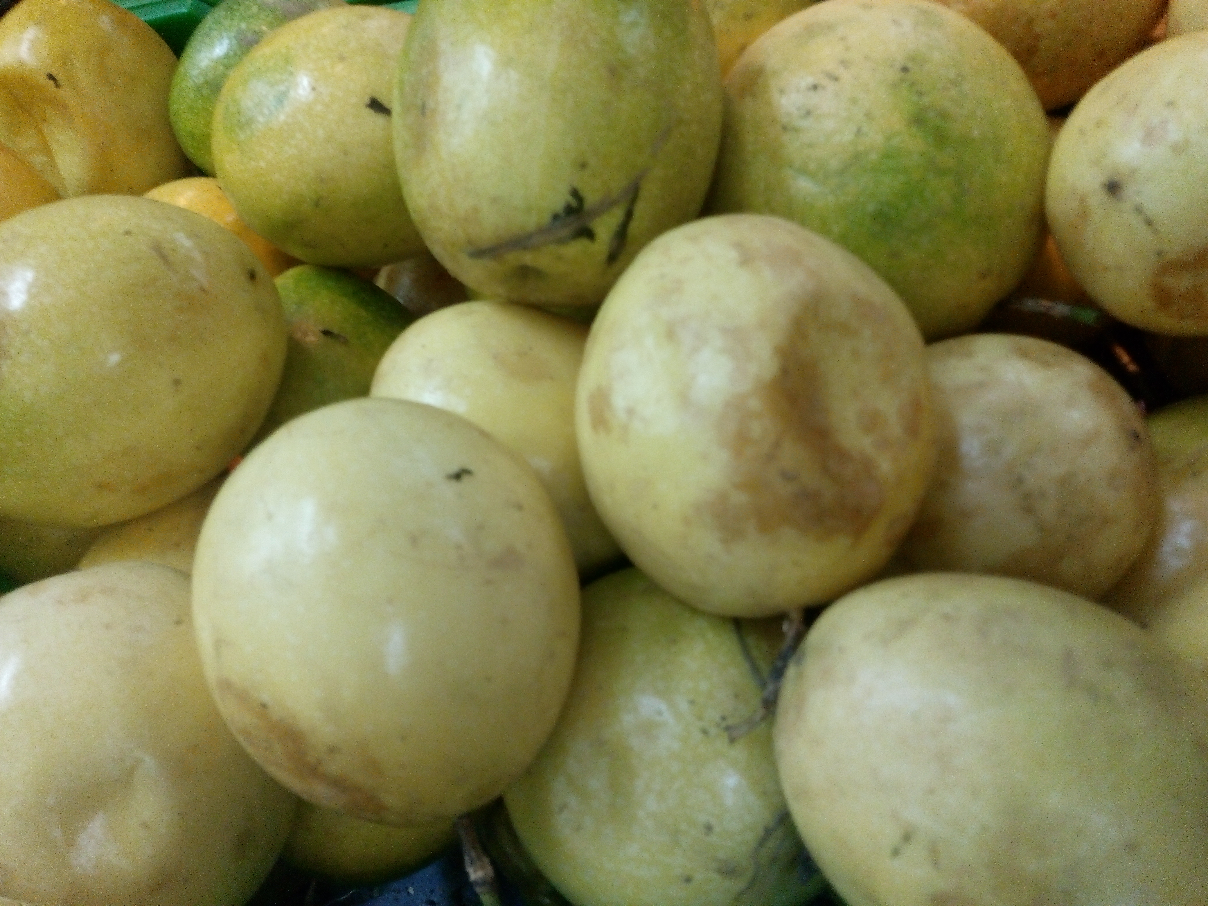 Maracuyá