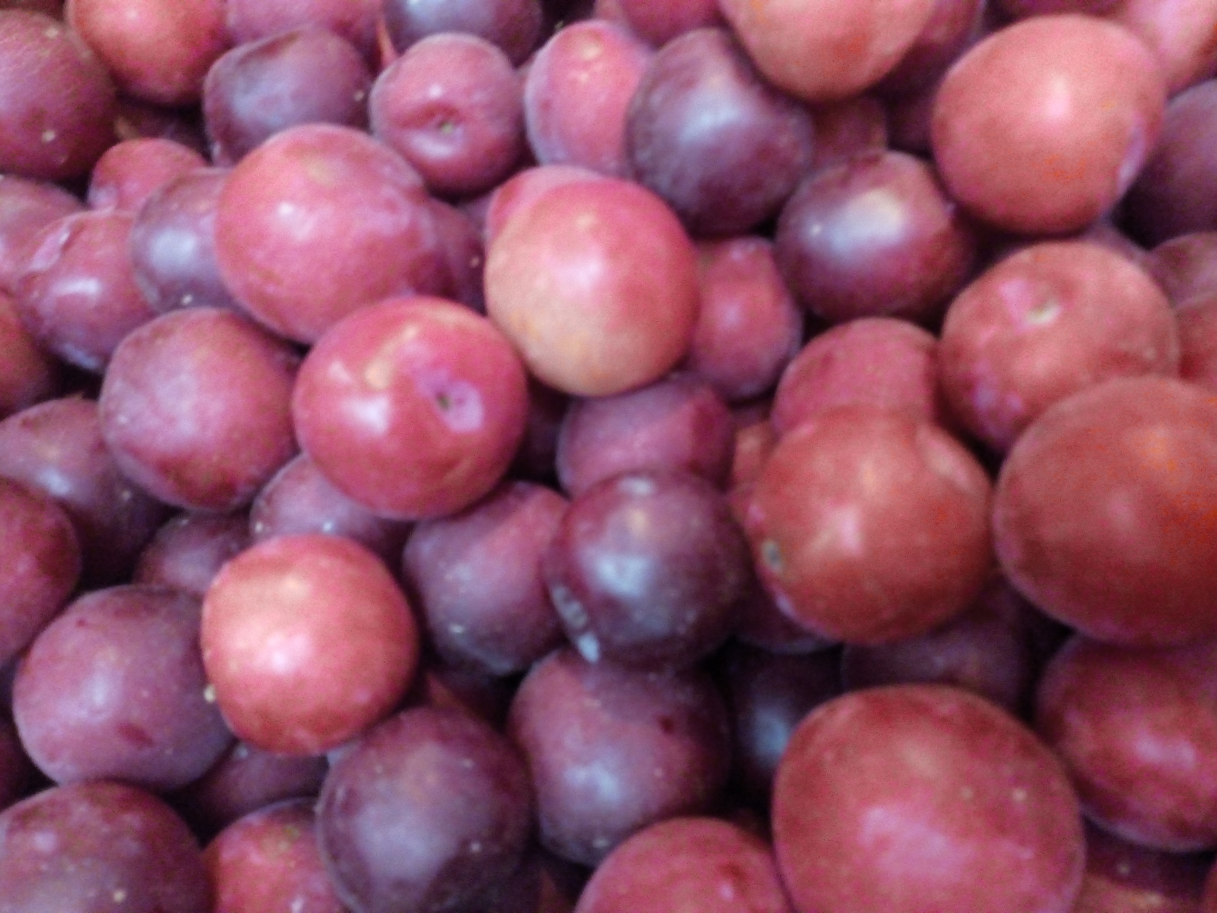 Ciruelas