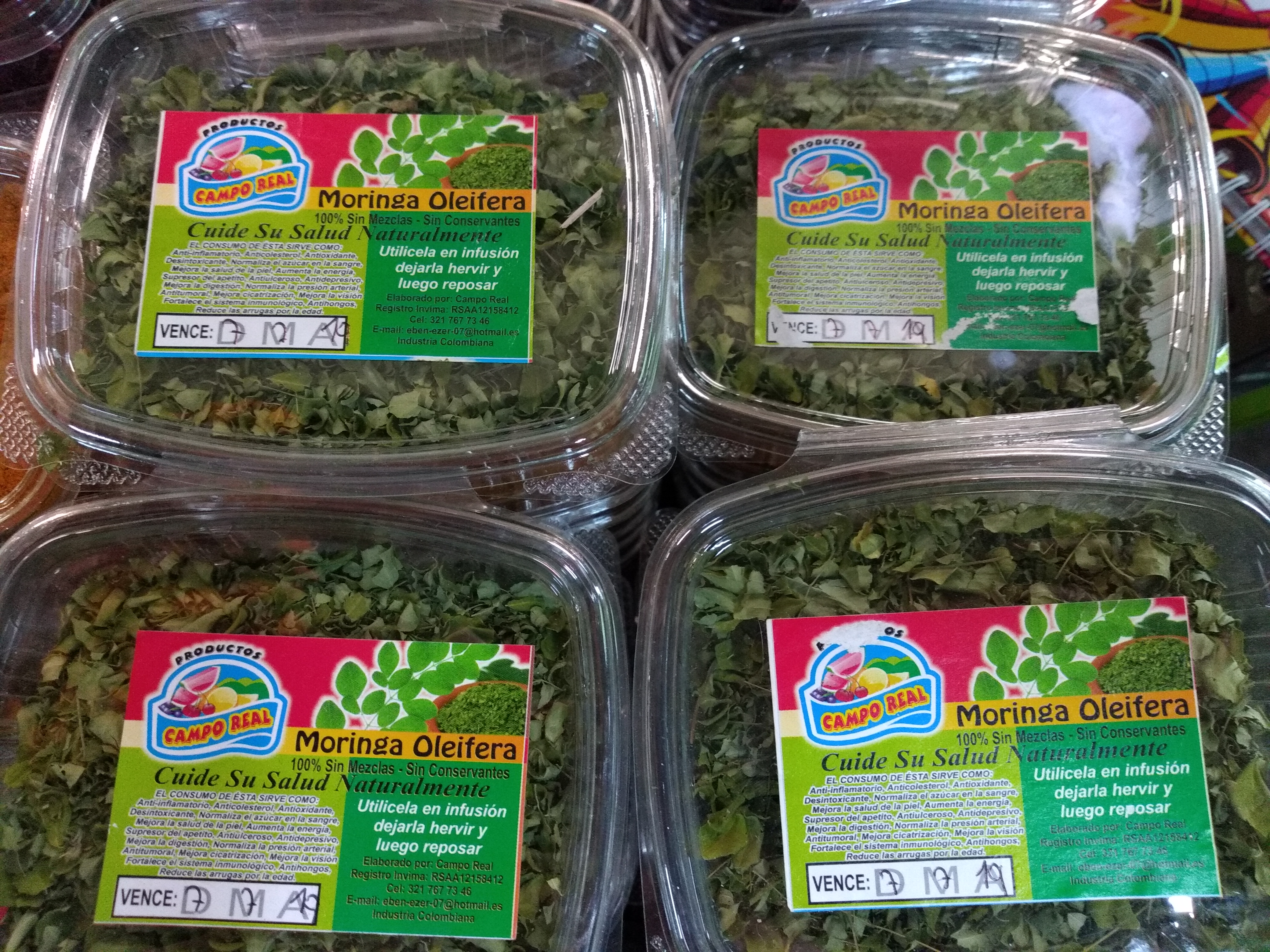Moringa