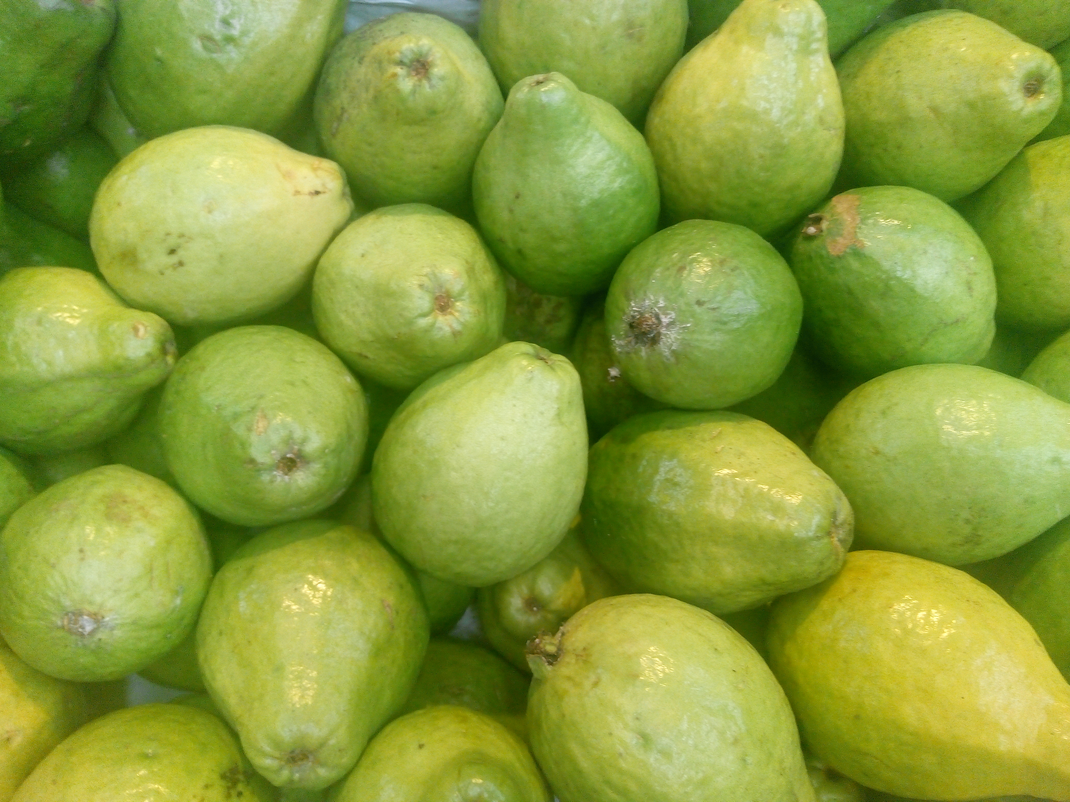Guayaba pera