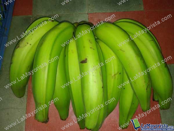 Platano arton