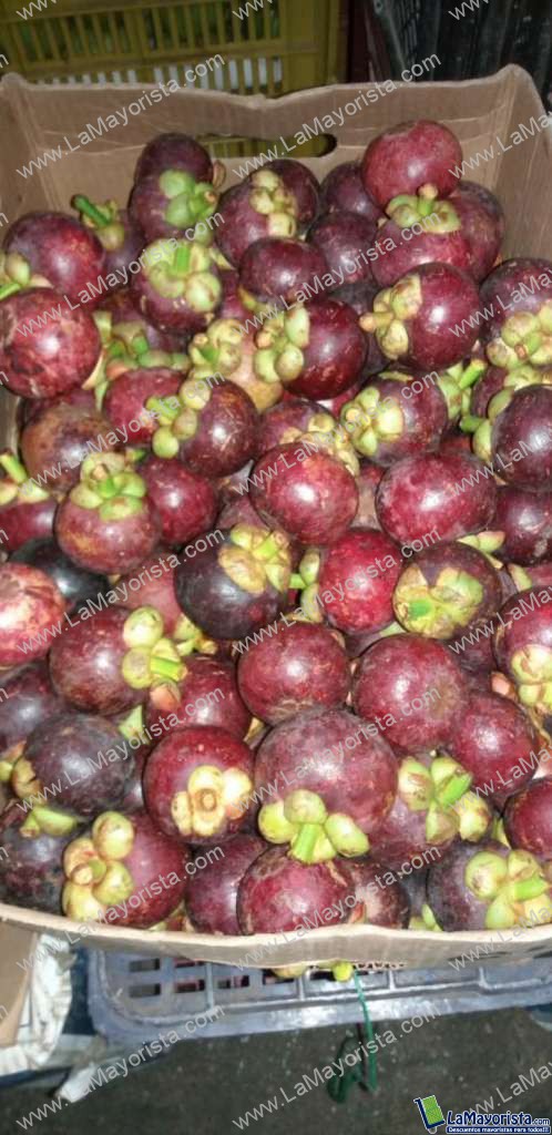 Mangostino