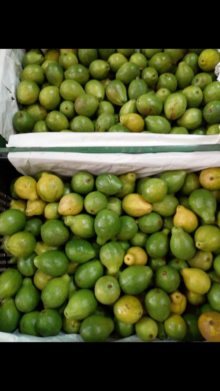 Guayaba pera
