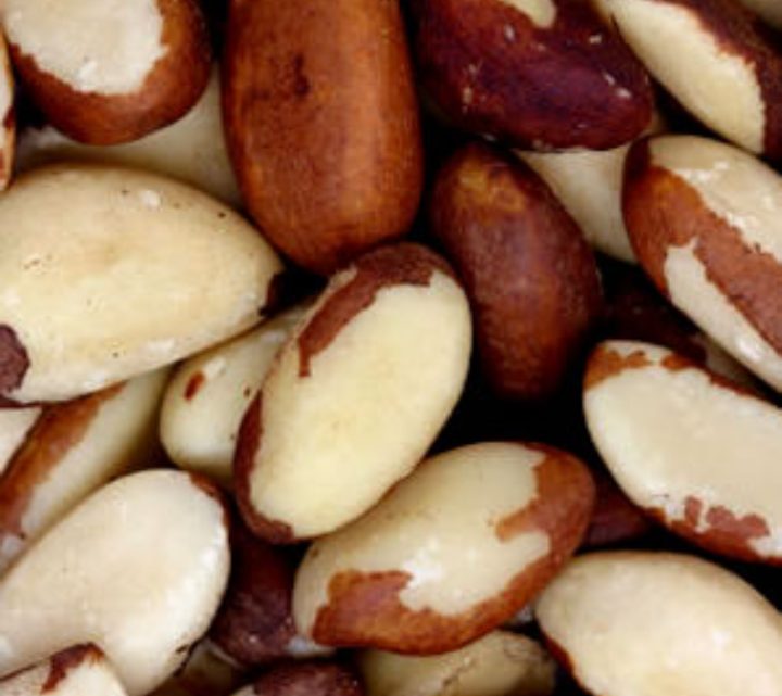 Nueces del Brasil
