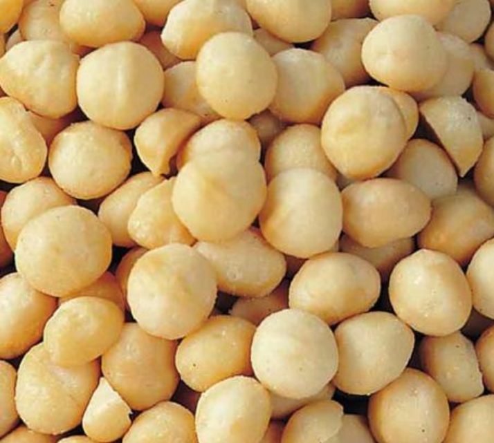 Macadamia
