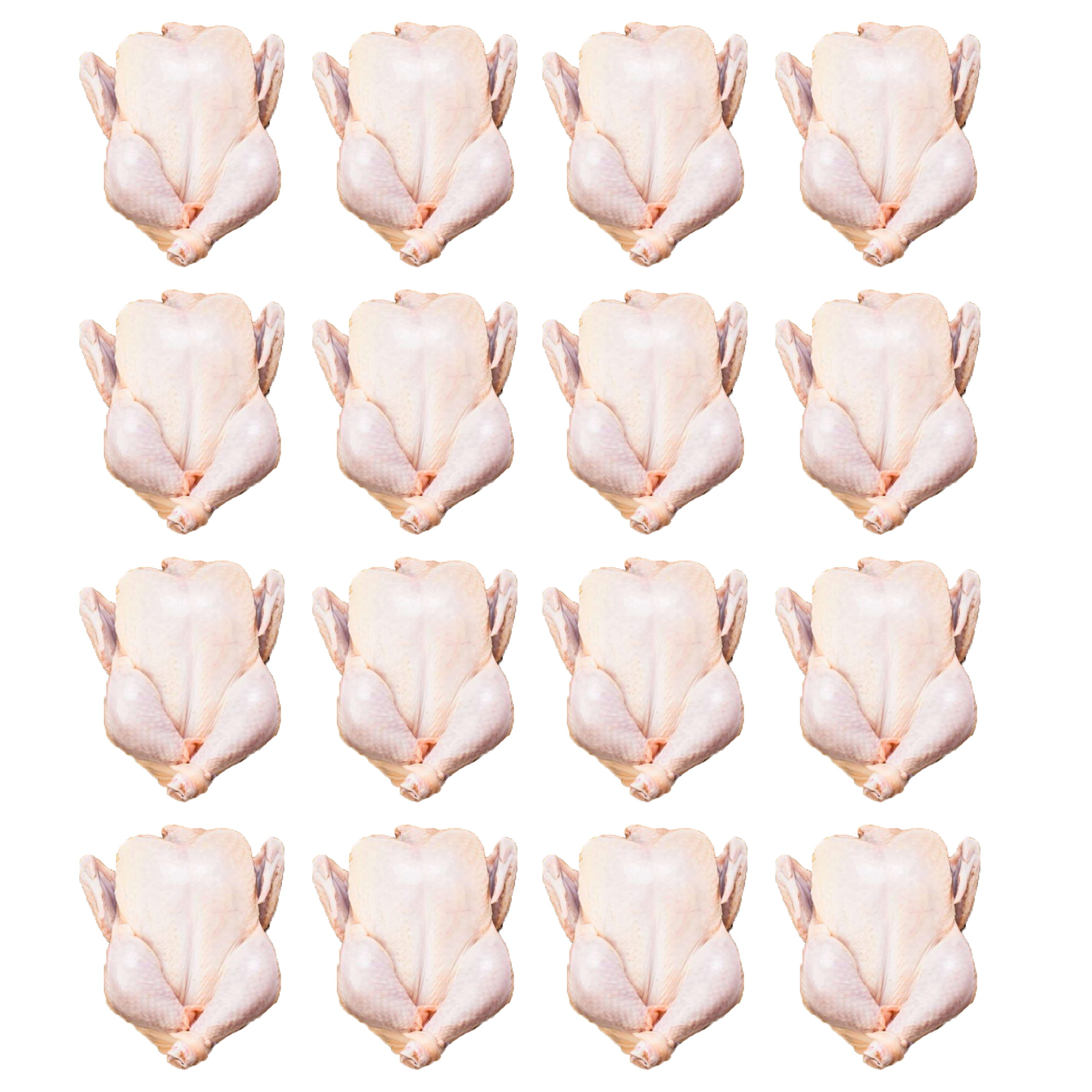 Pollo Completo