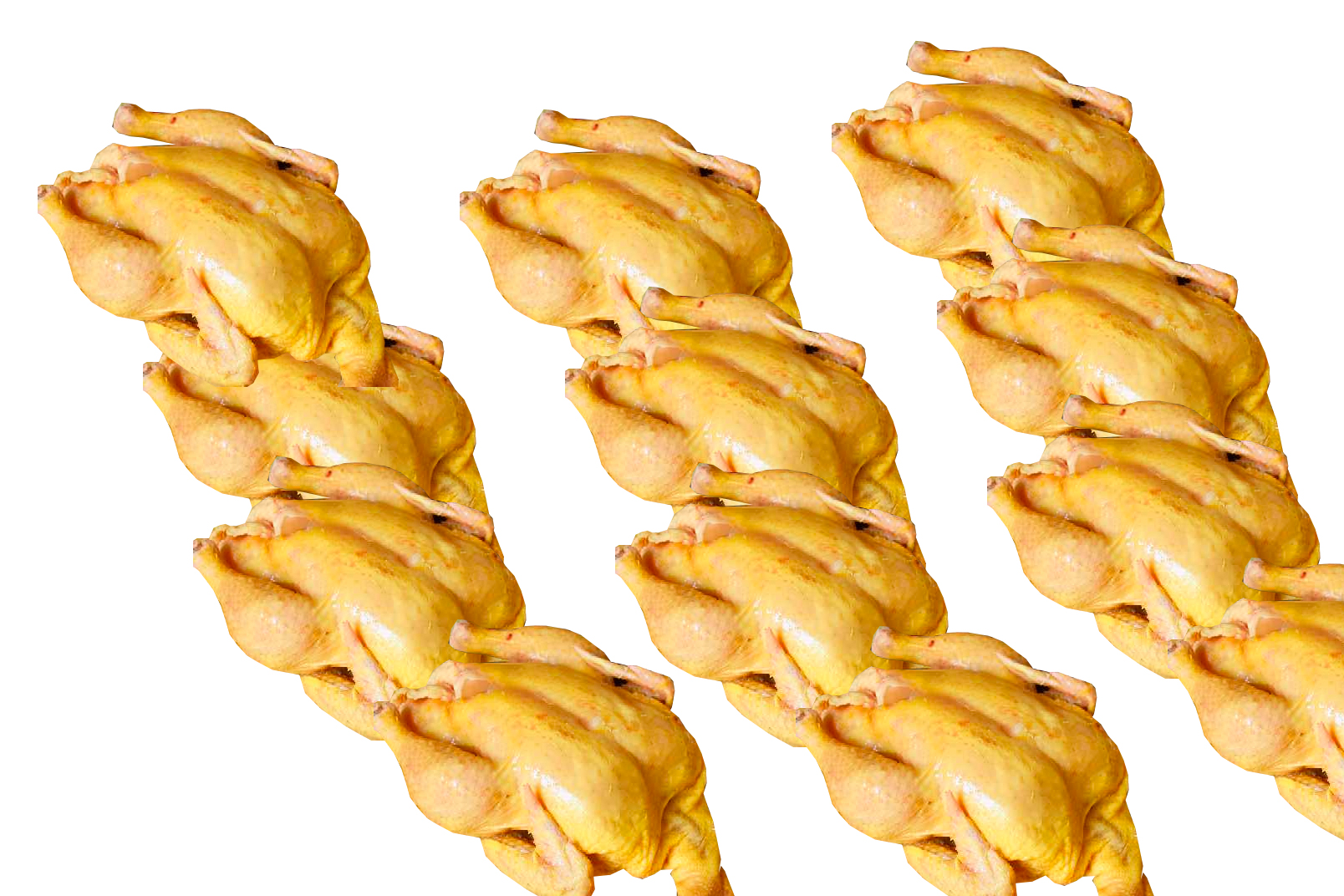 Pollo campesino