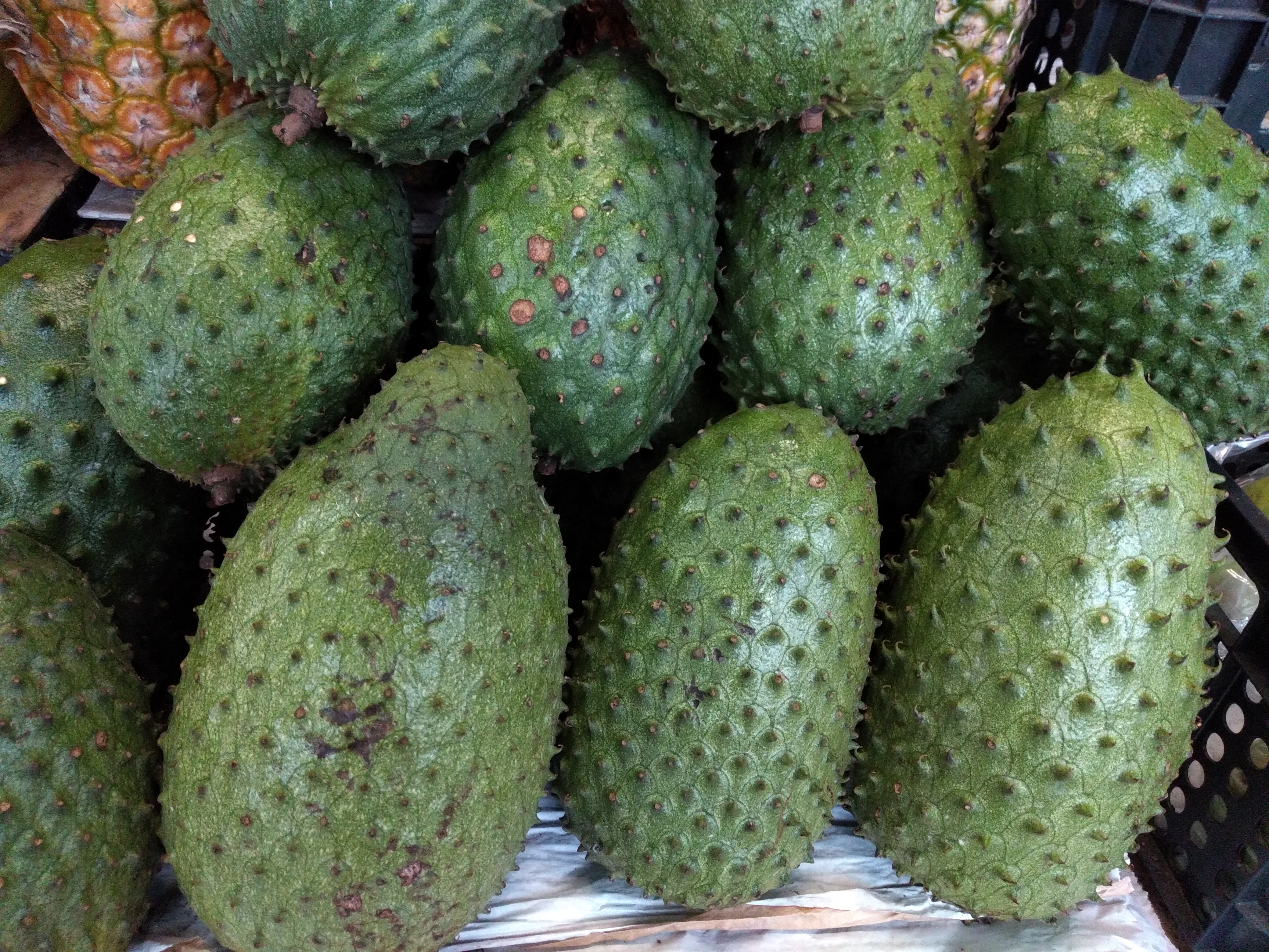 Guanabana