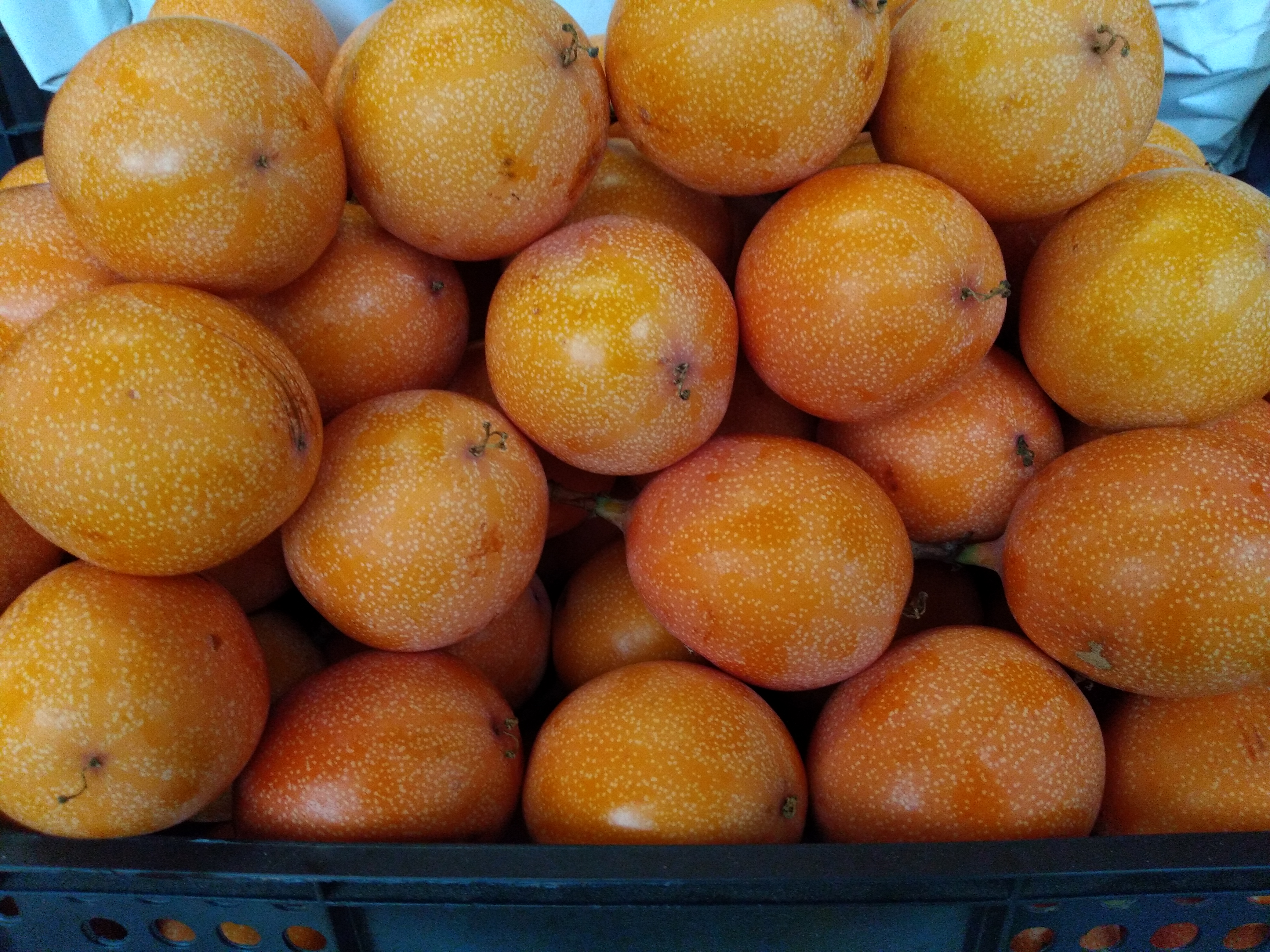 Granadilla