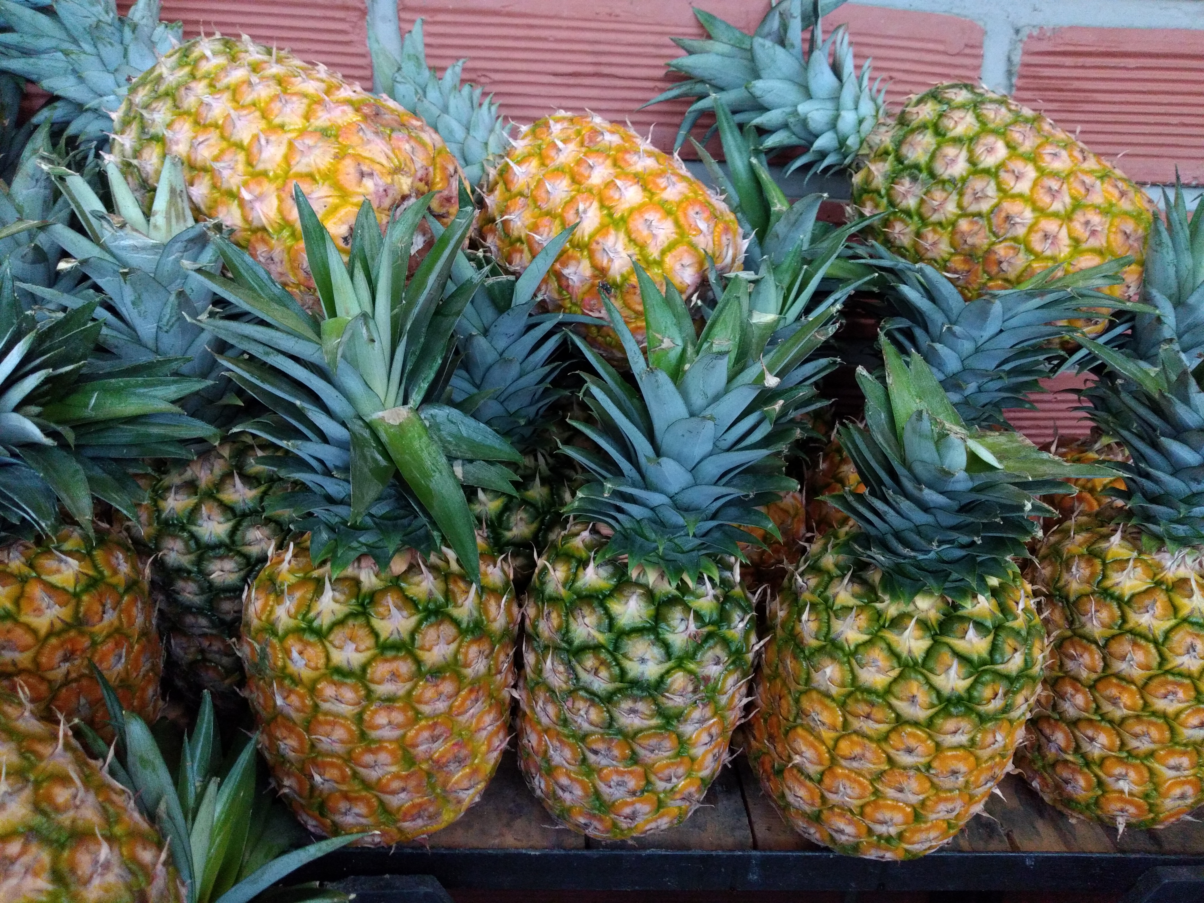 Piña oromiel