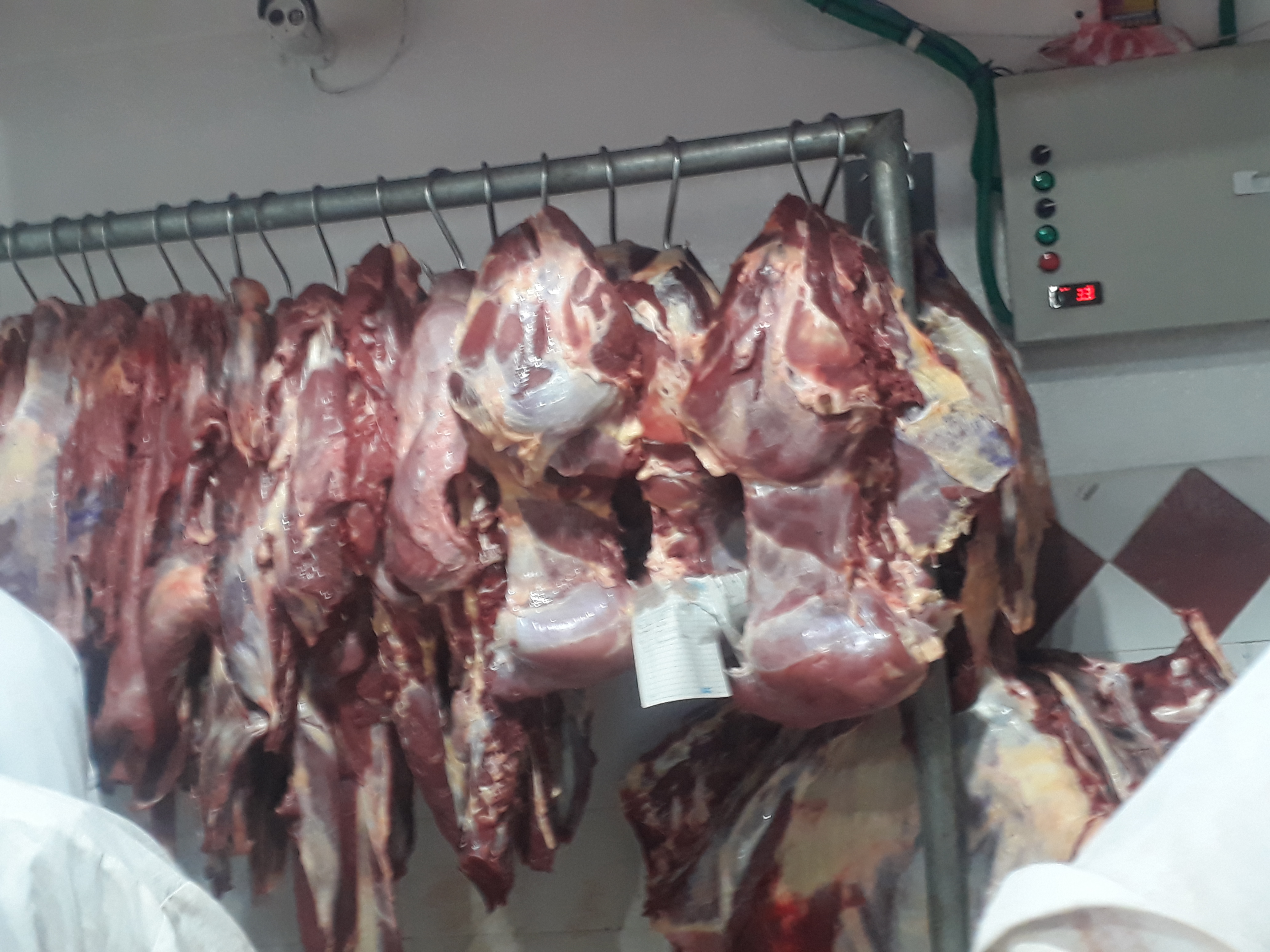 Carne de 1ra de red