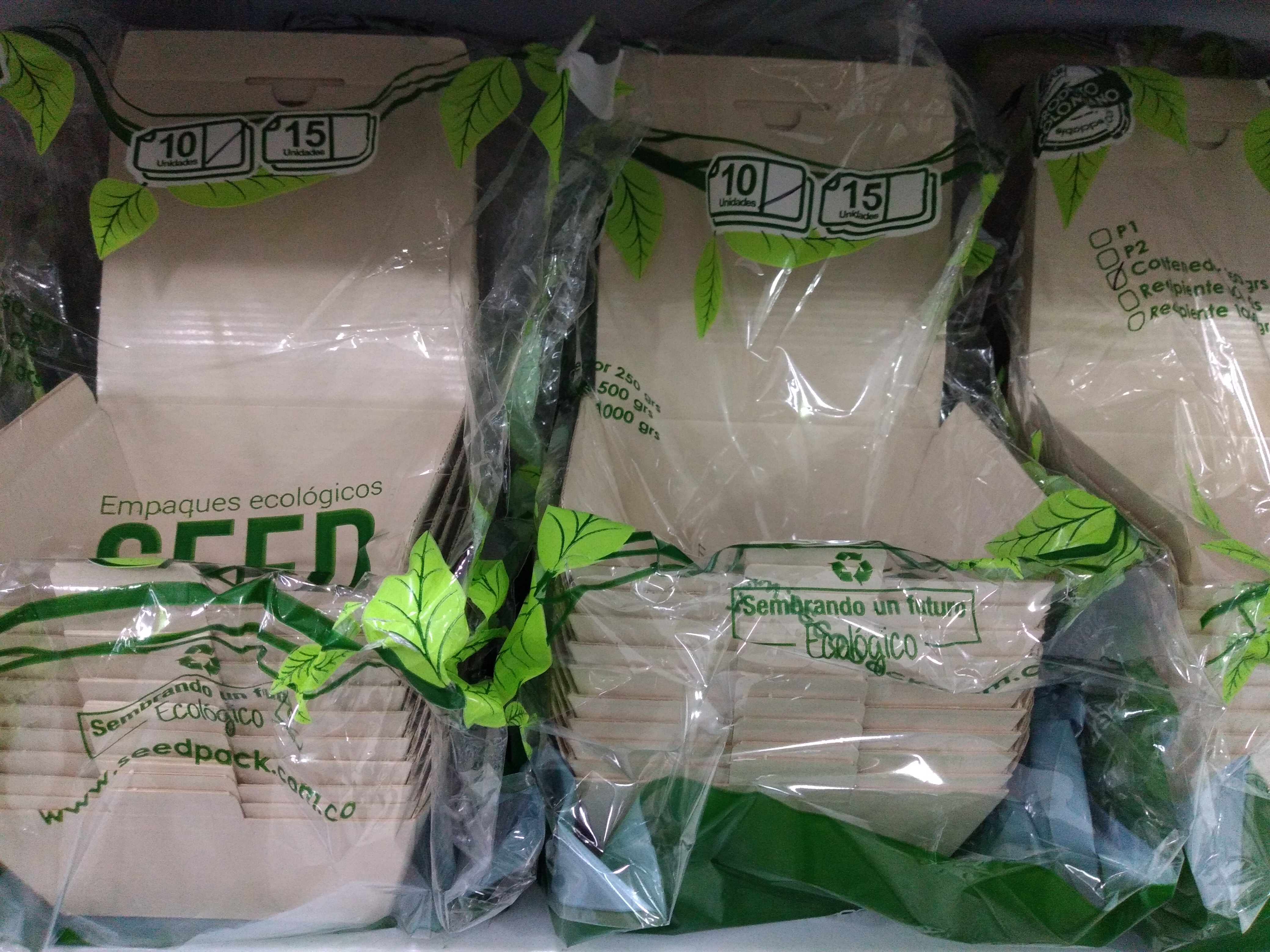 Portacomida biodegradable x 10 unidades