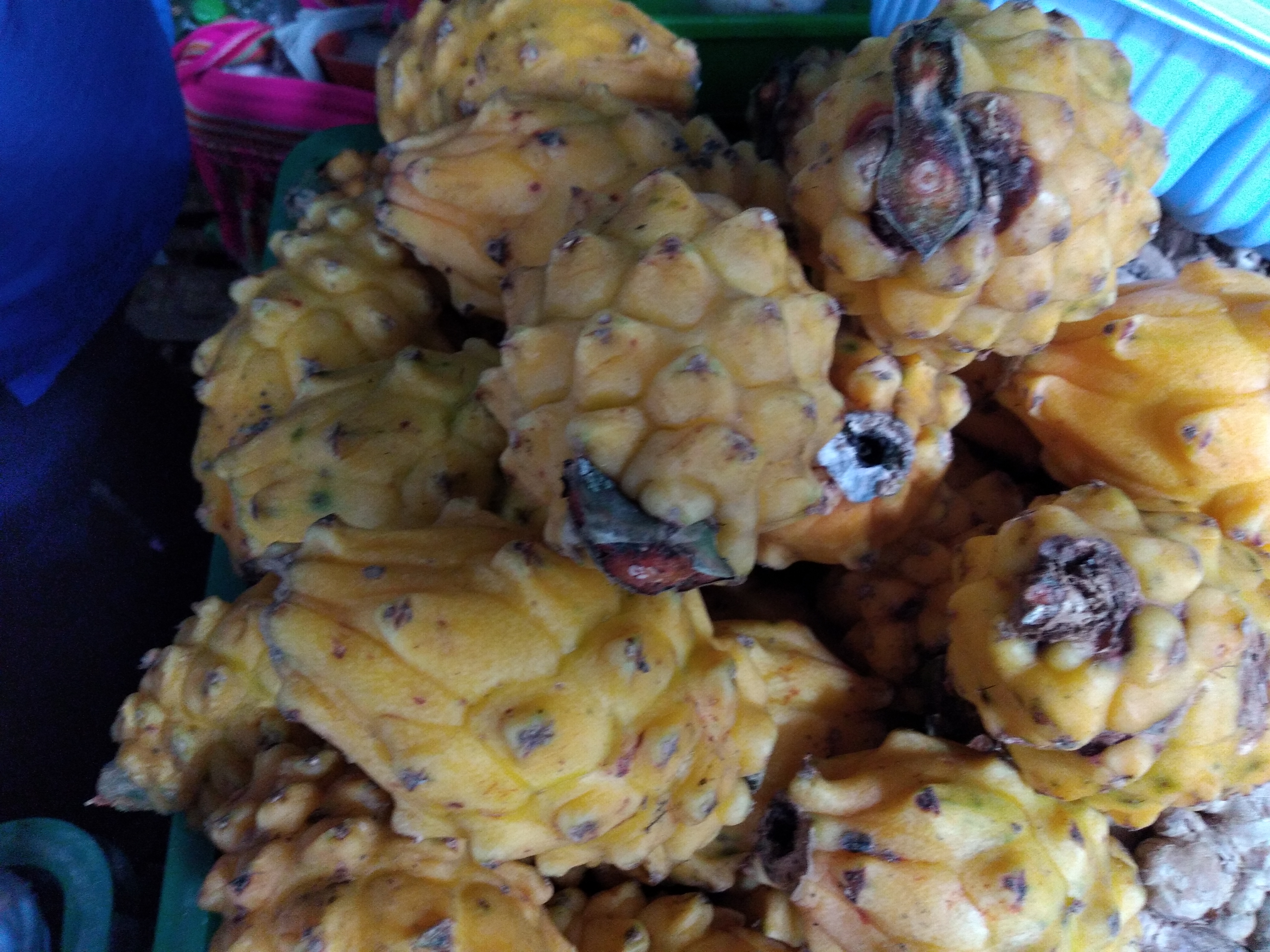 Pitaya