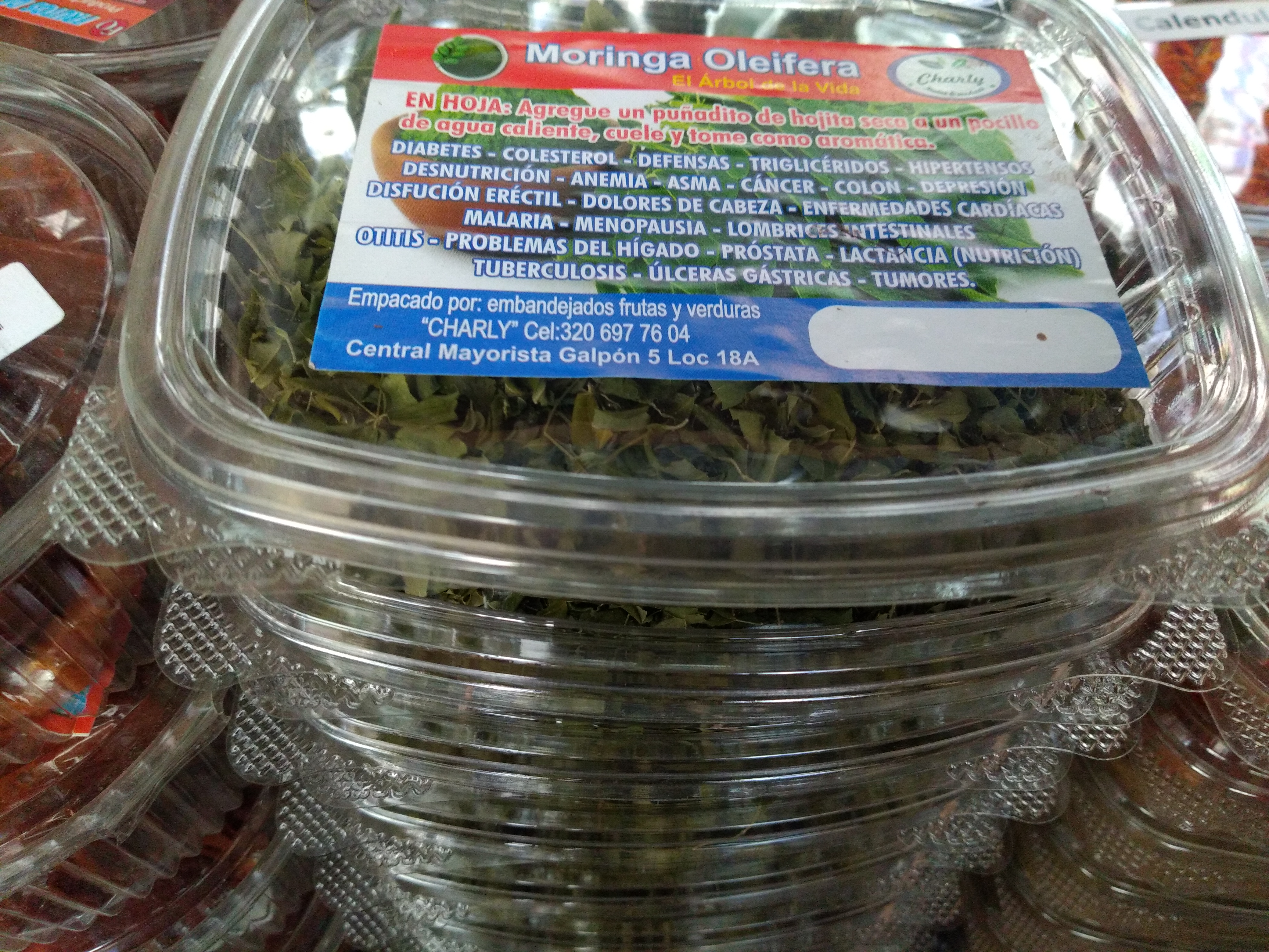 Moringa bandeja