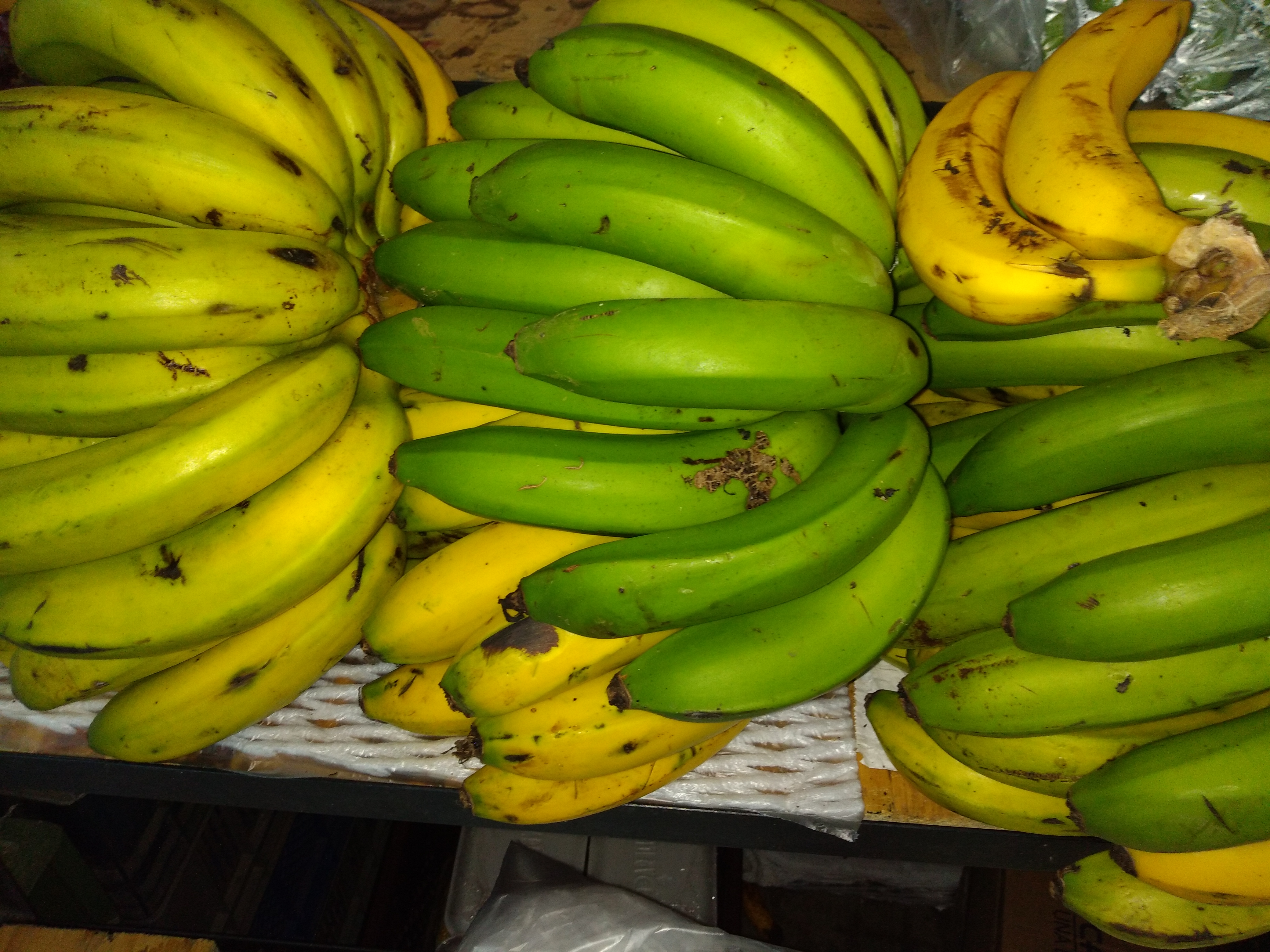 Banano criollo