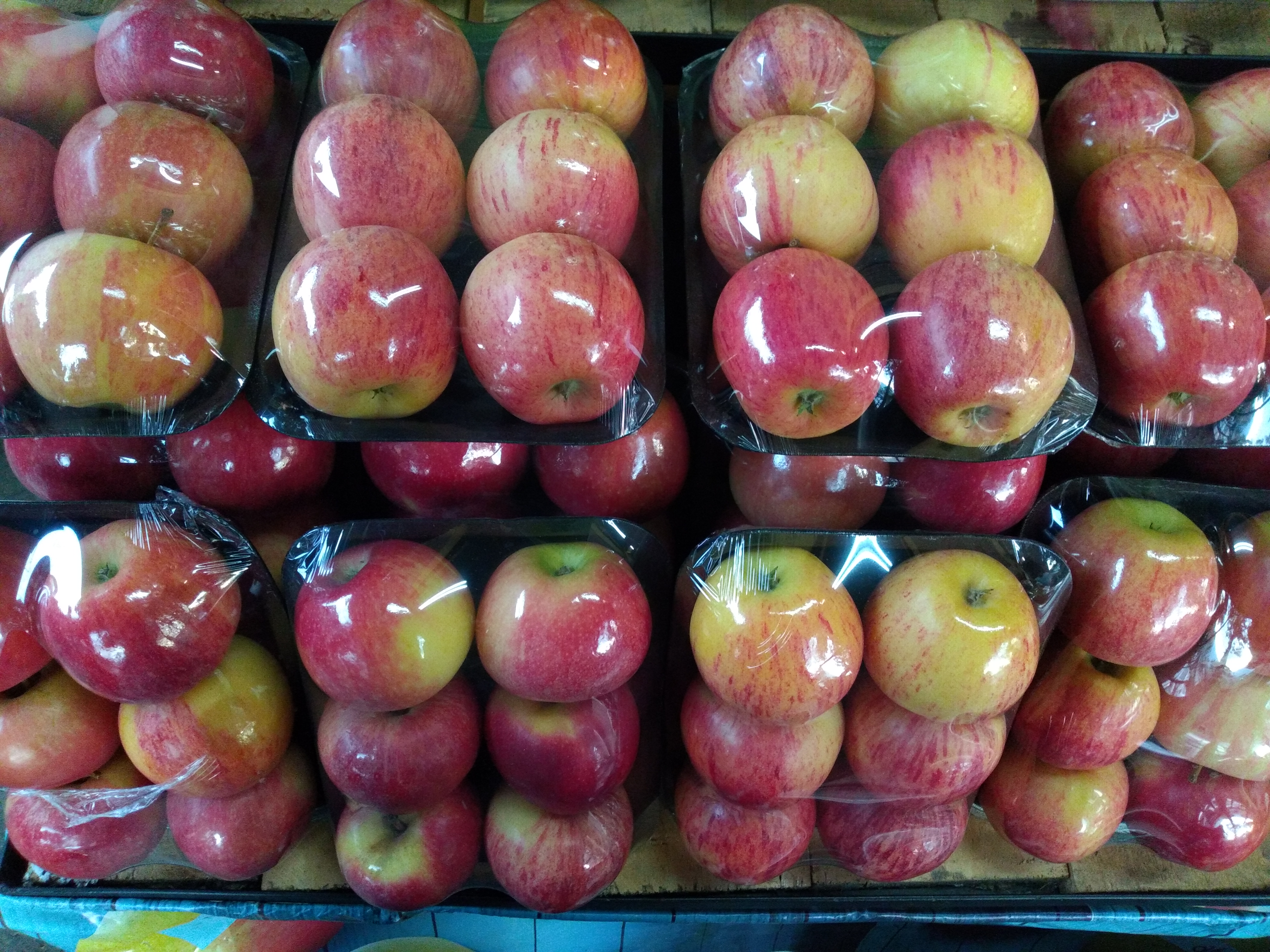 Manzana gala bandeja