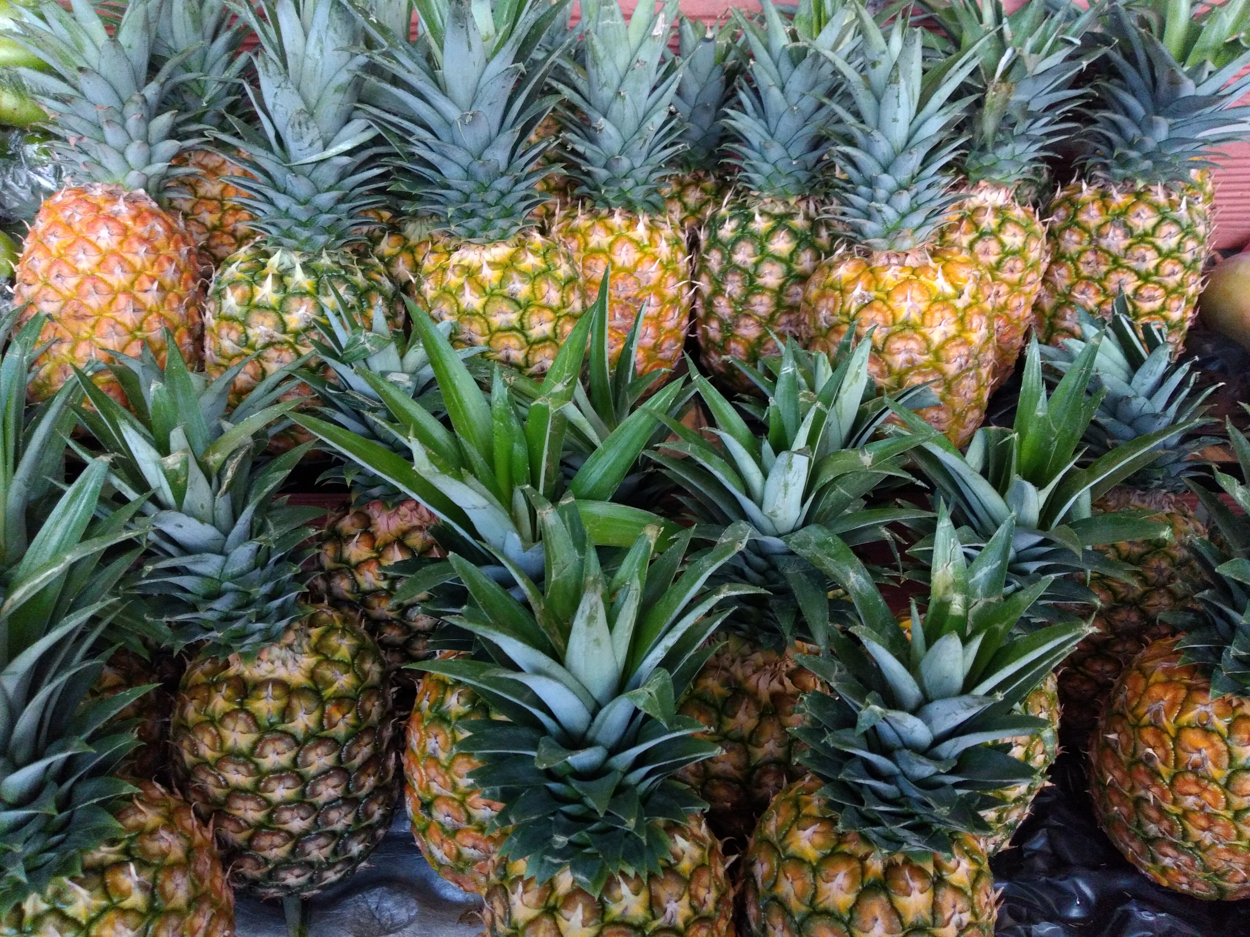 Piña oromiel