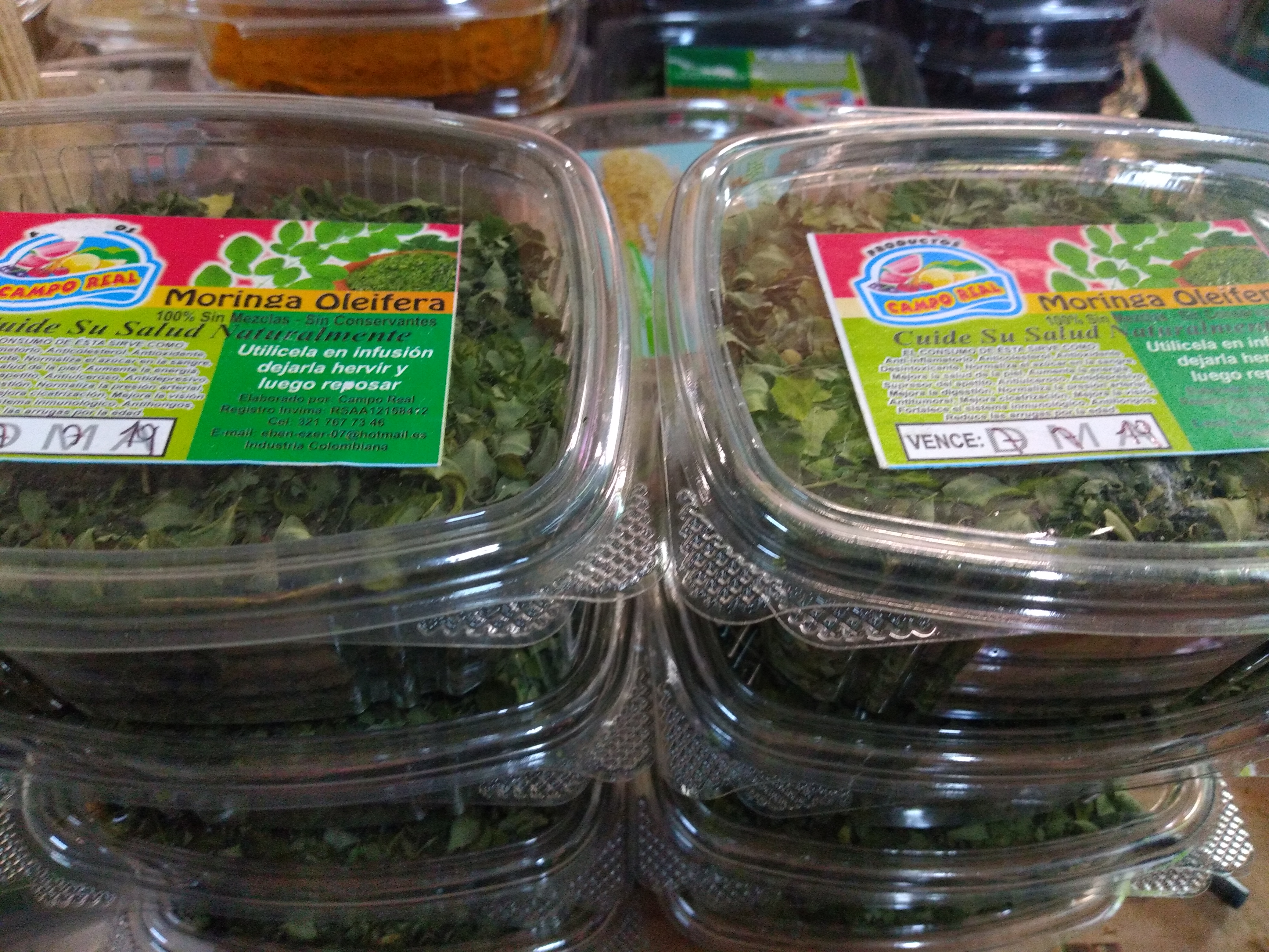 Moringa bandeja