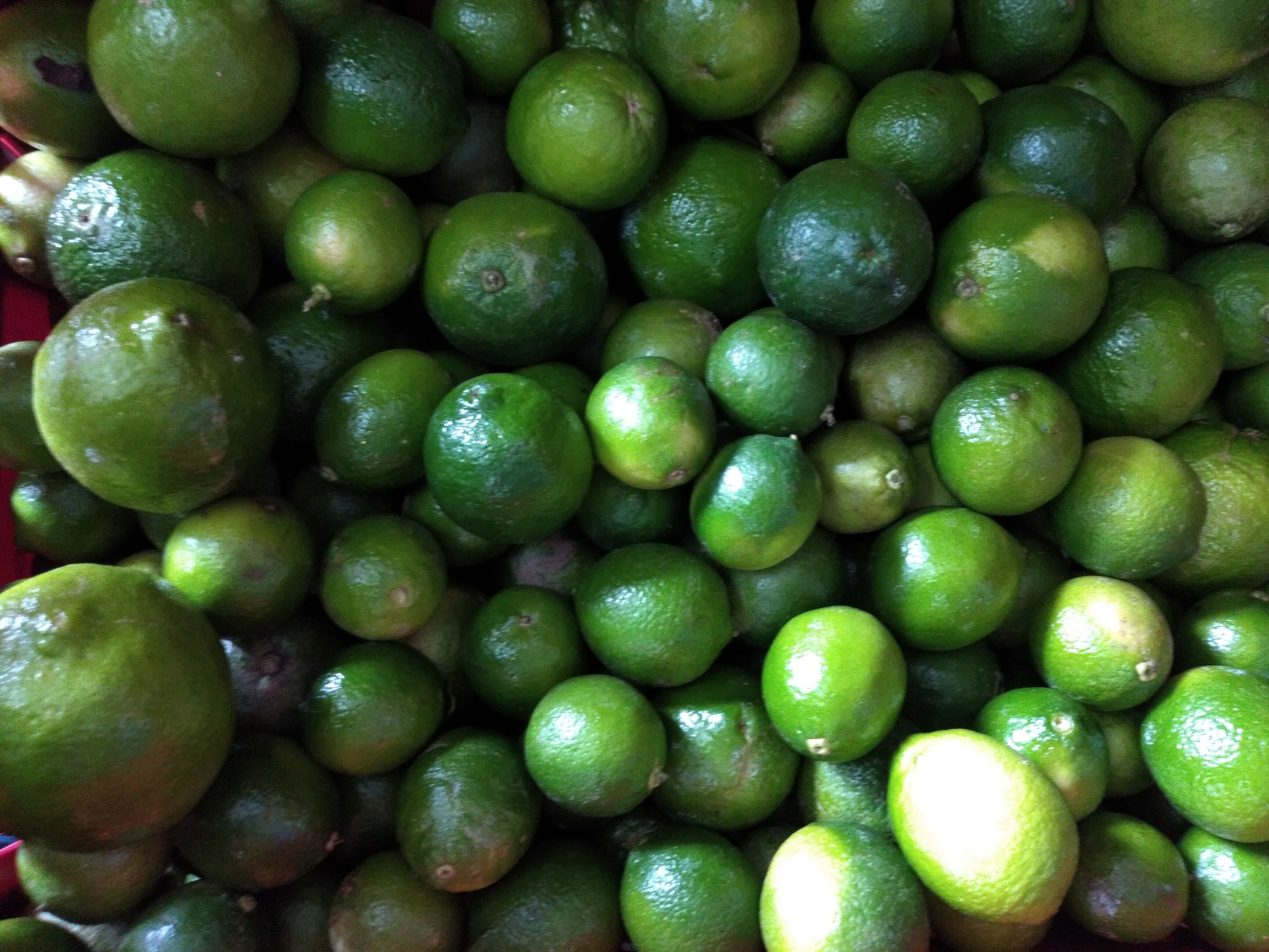 Limón Tahití