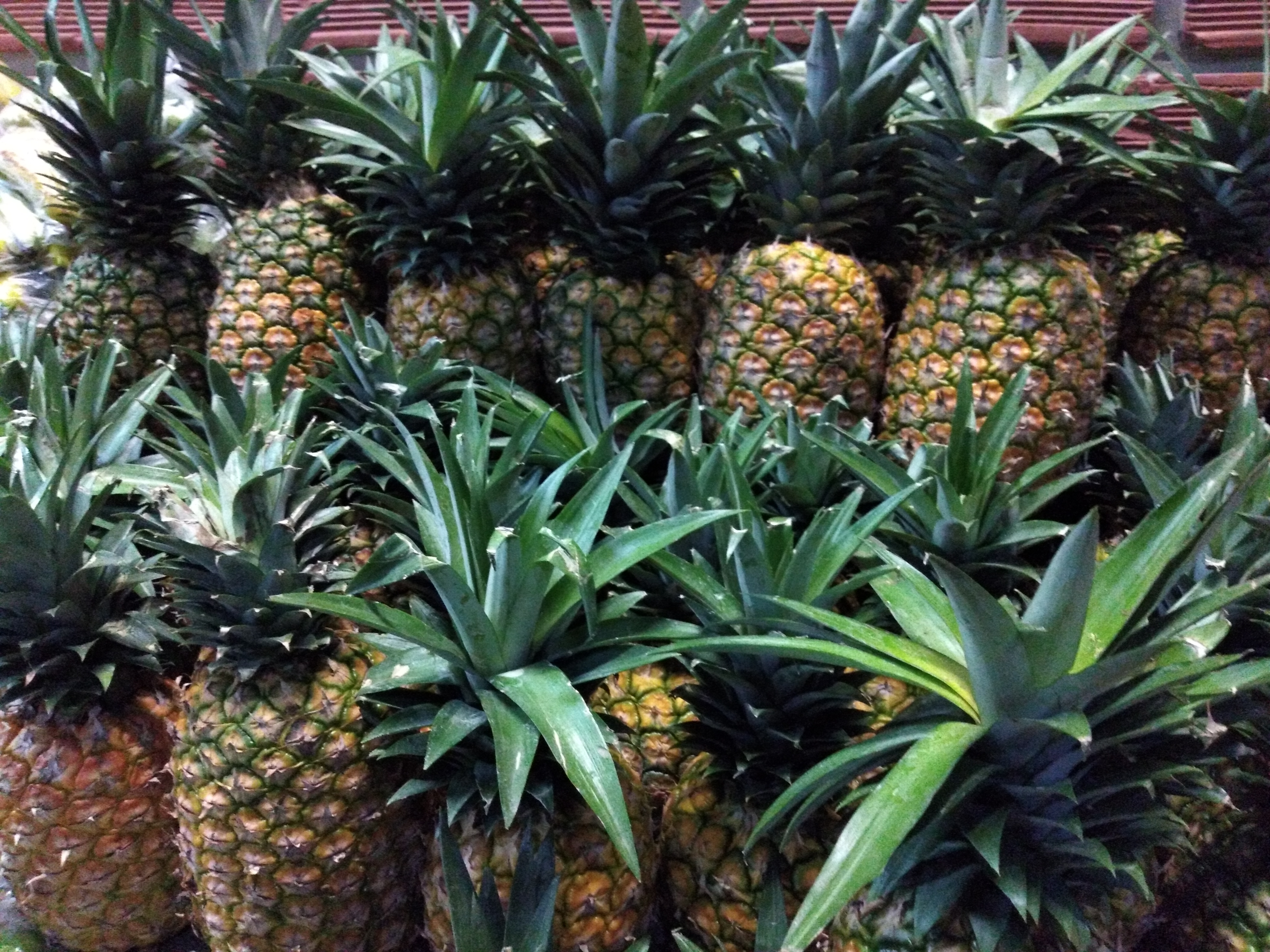 Piña oromiel