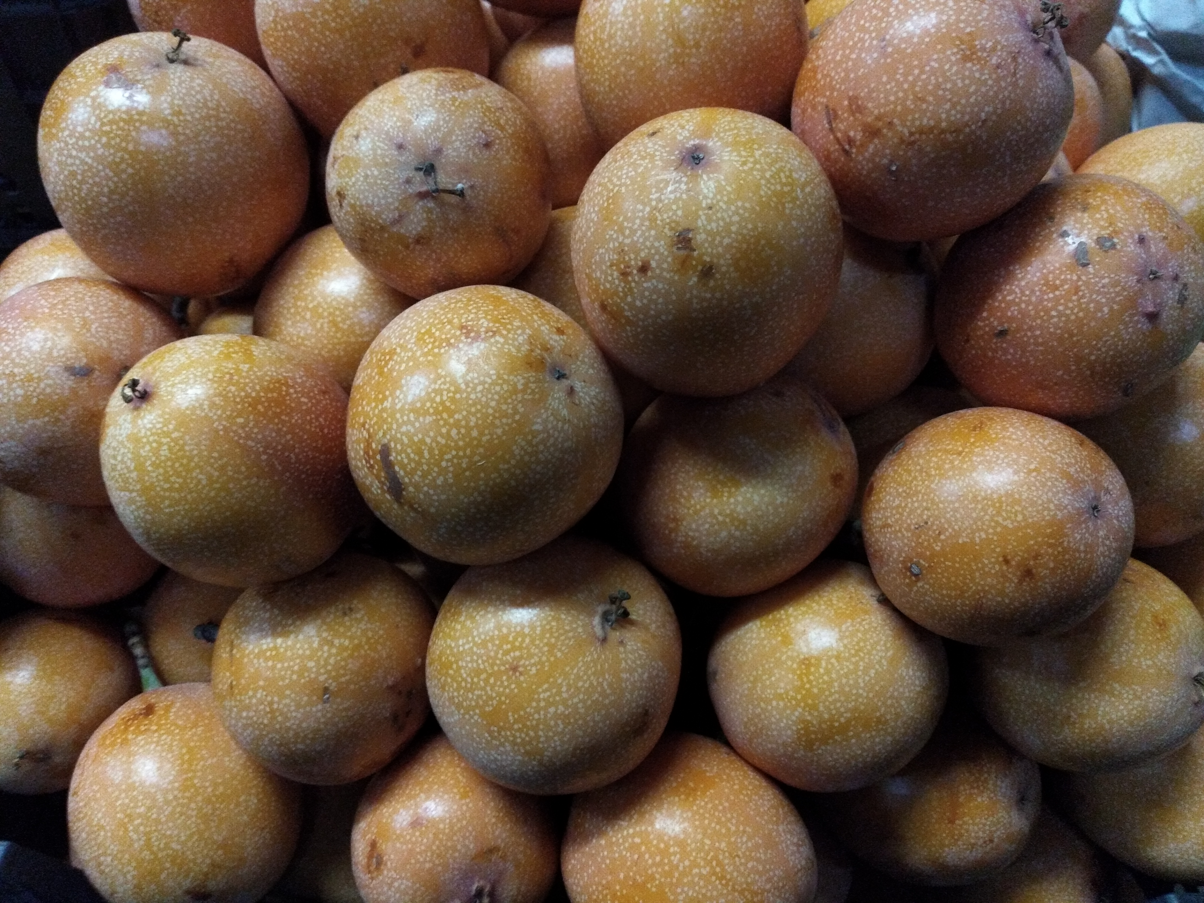 Granadilla