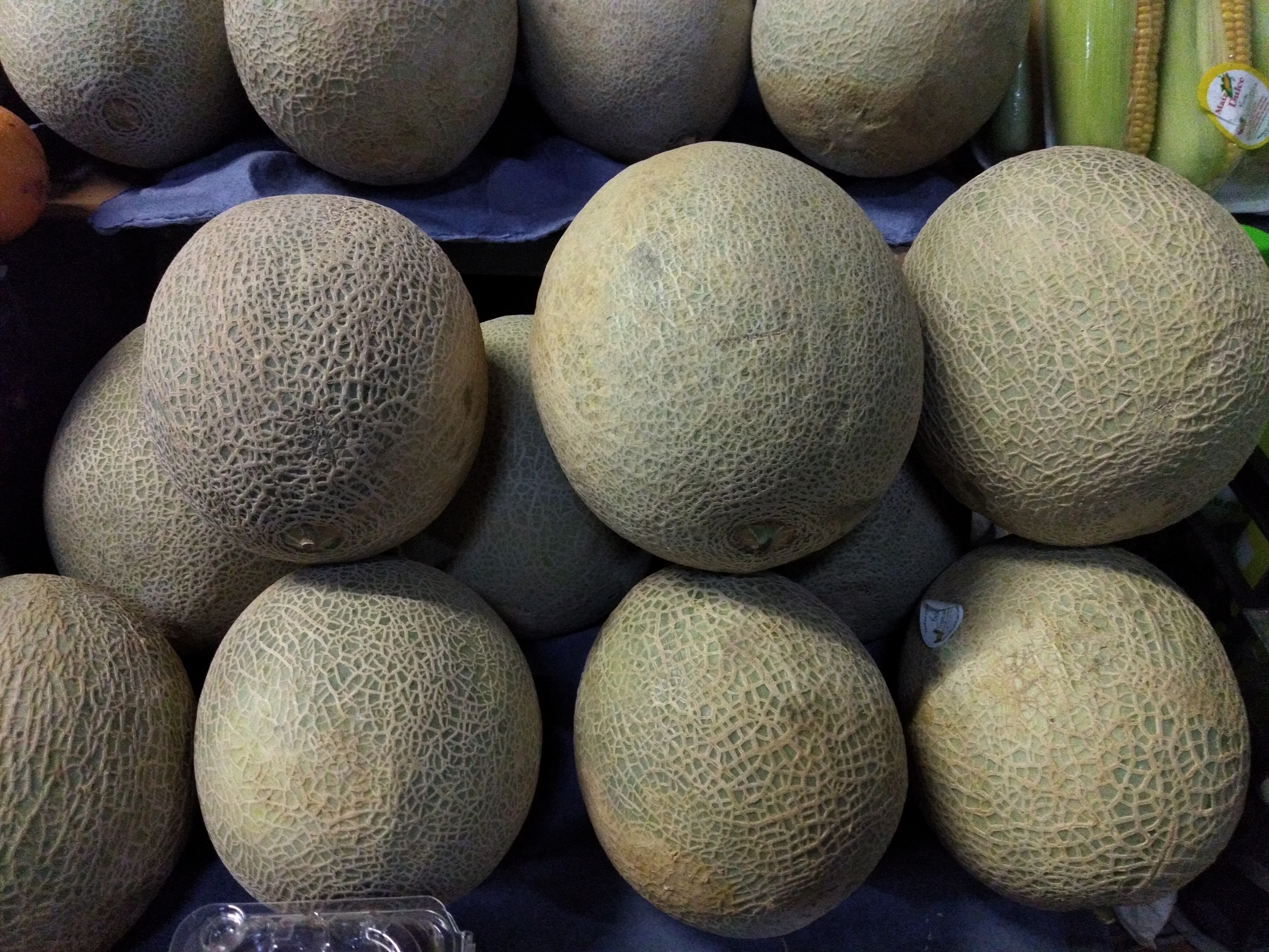 Melón