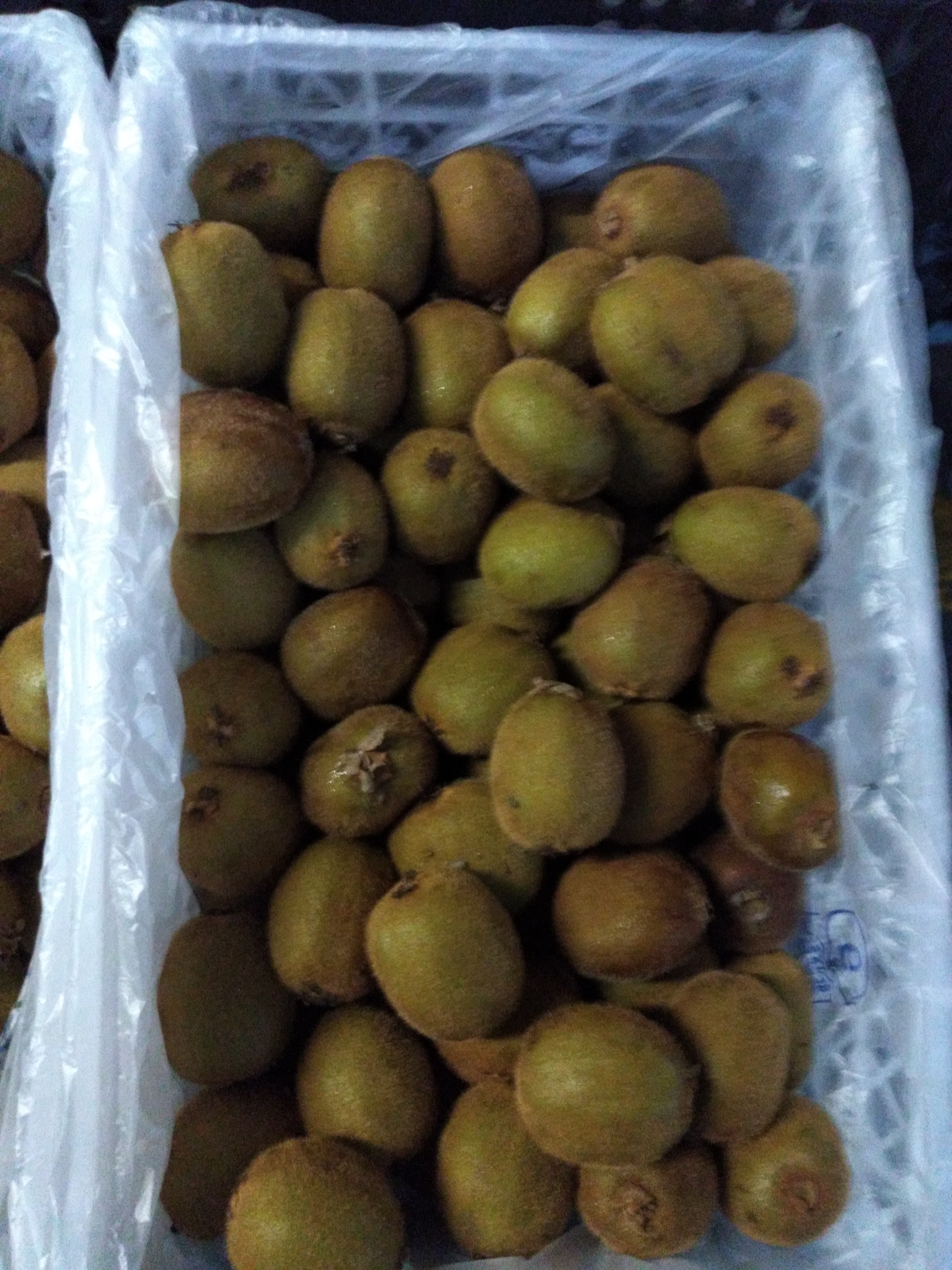 Kiwi