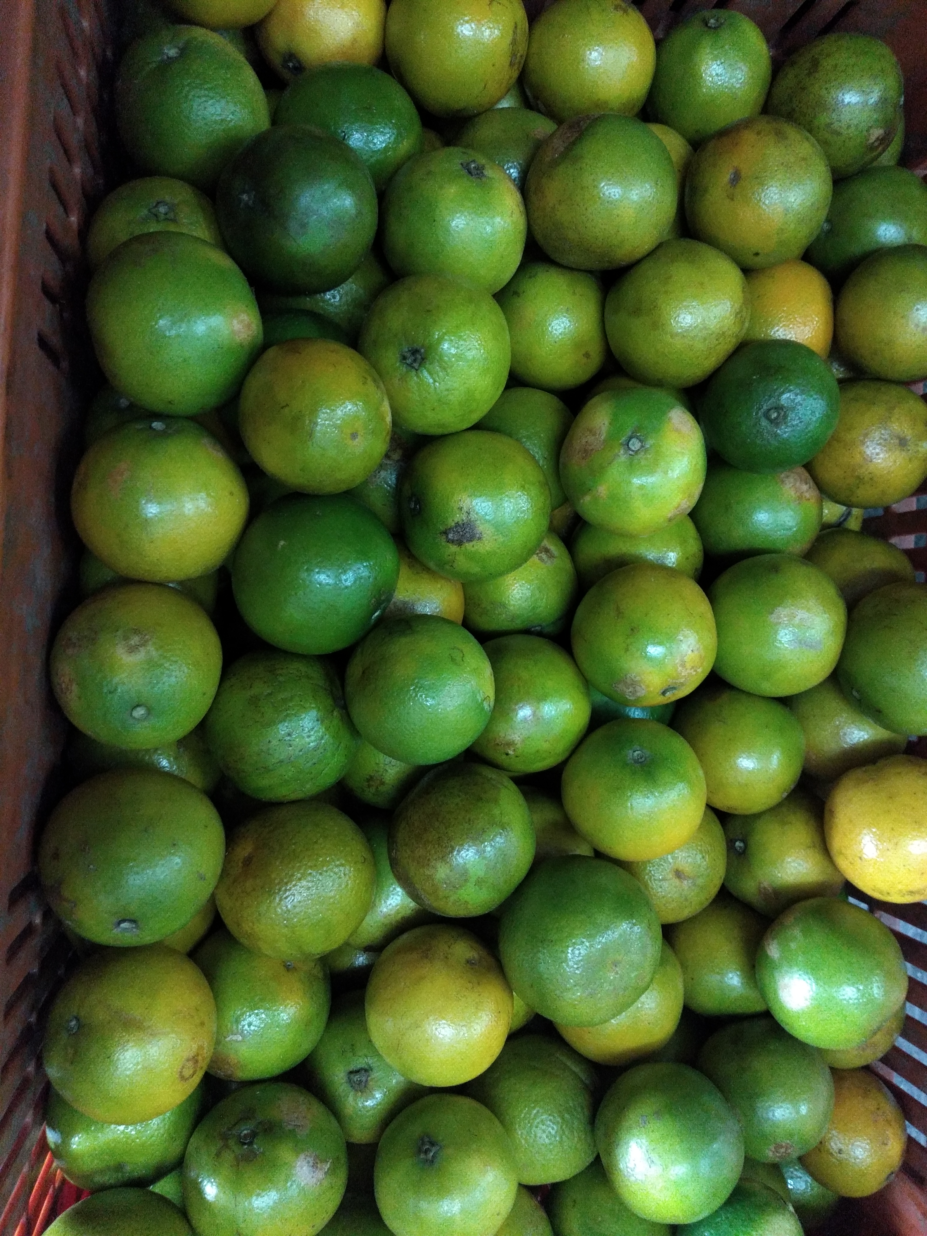 Naranja tercera