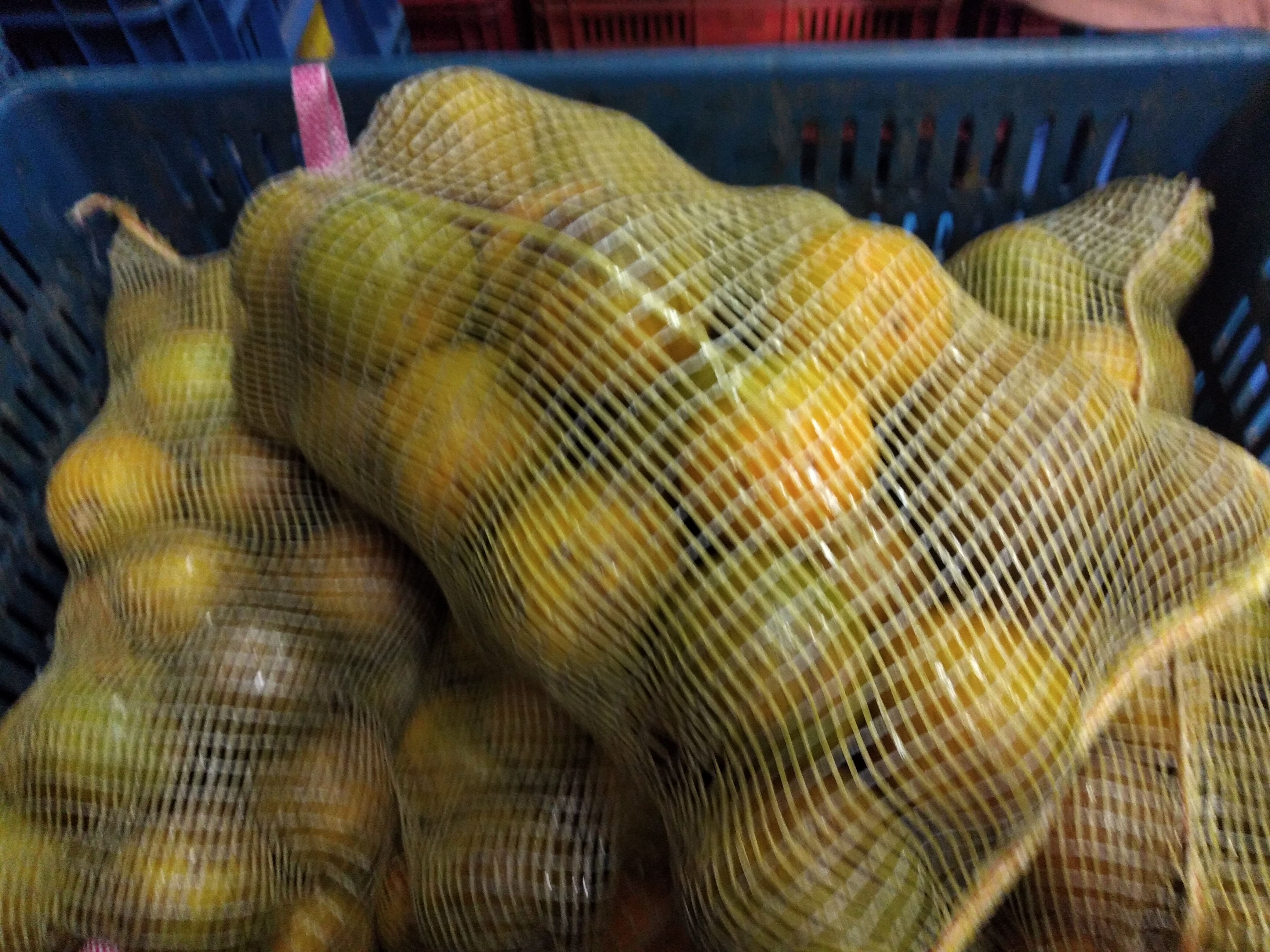 Naranja Tula x 5 kilos