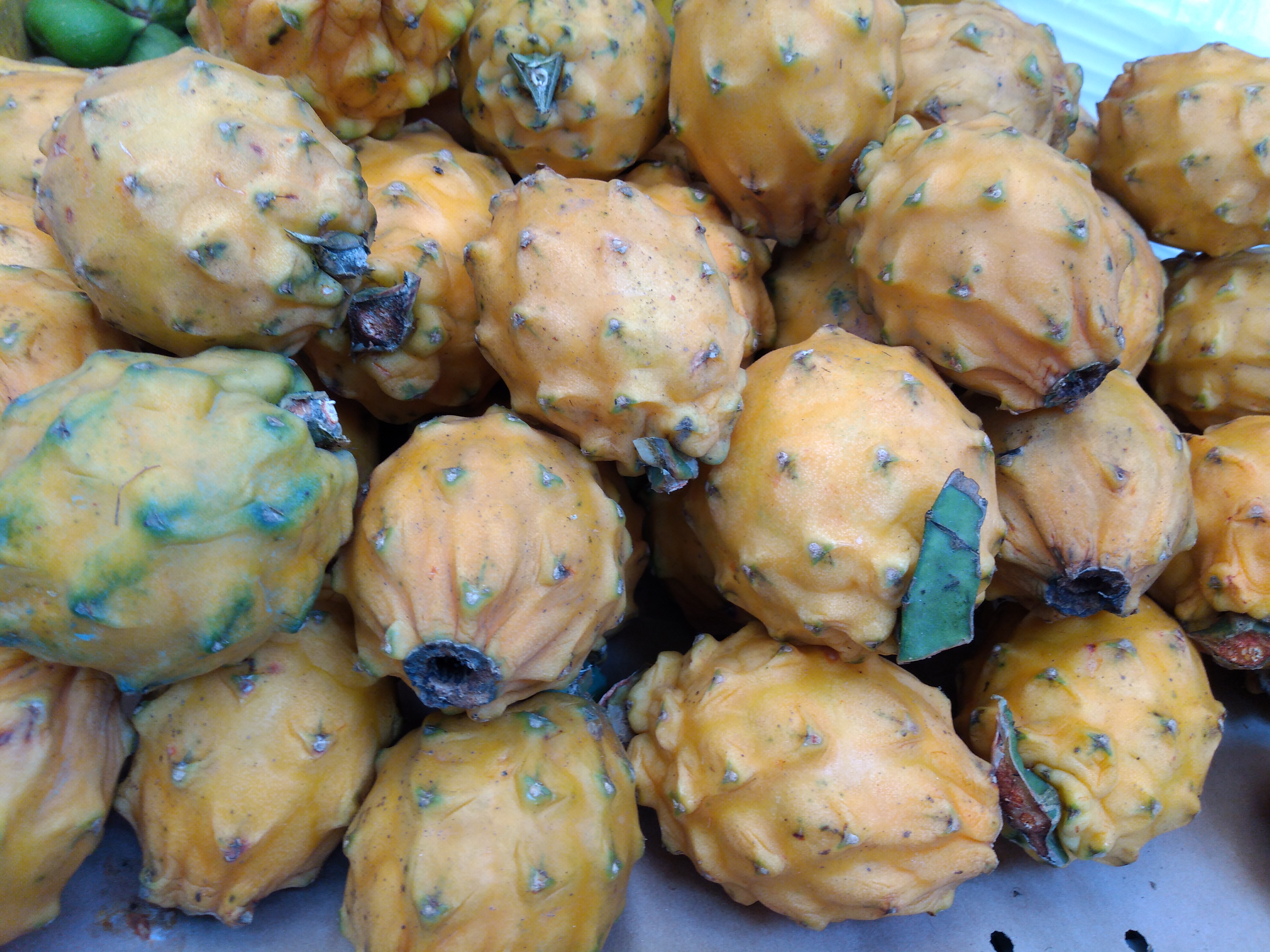 Pitaya