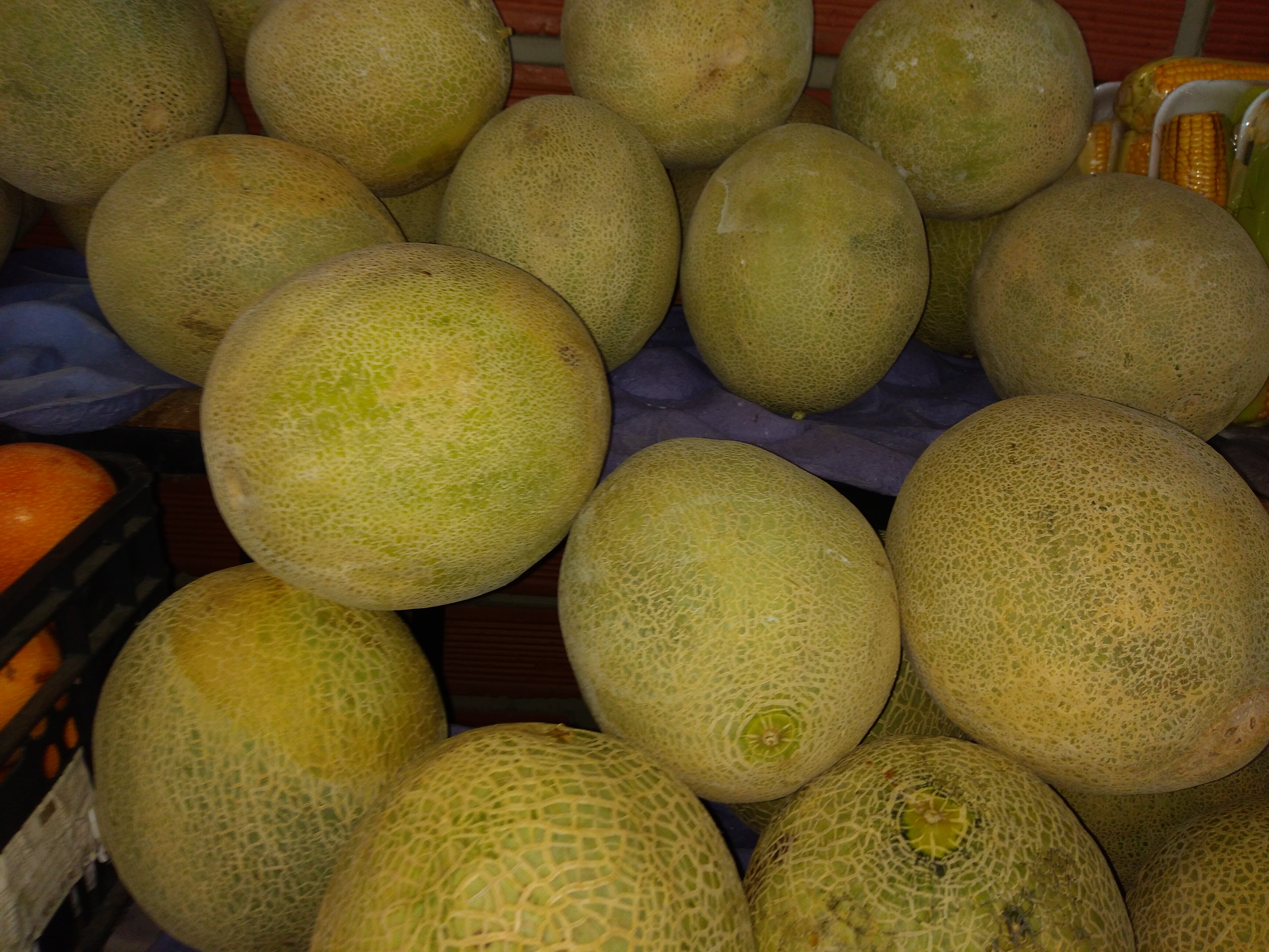 Melón