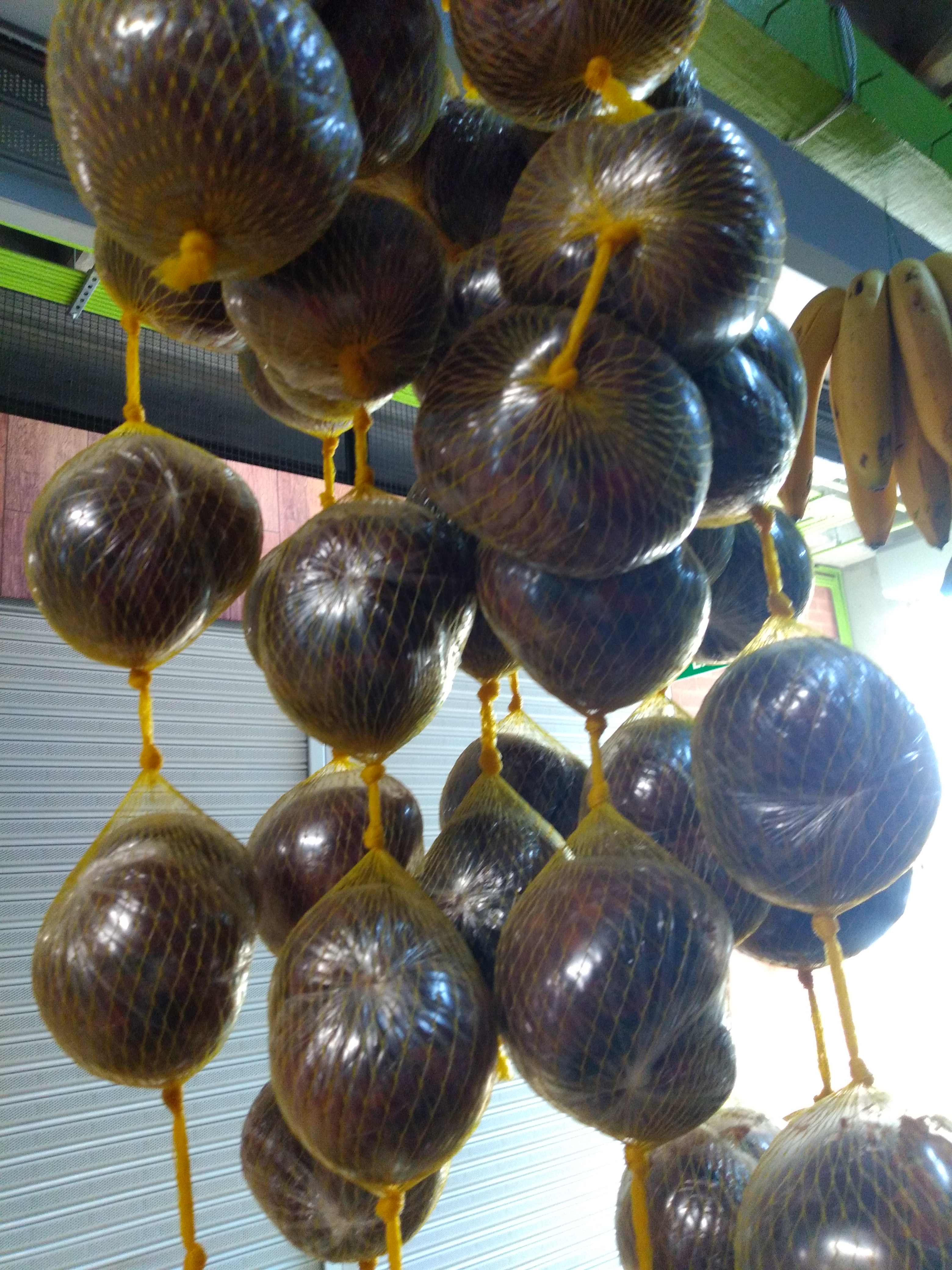 Borojo