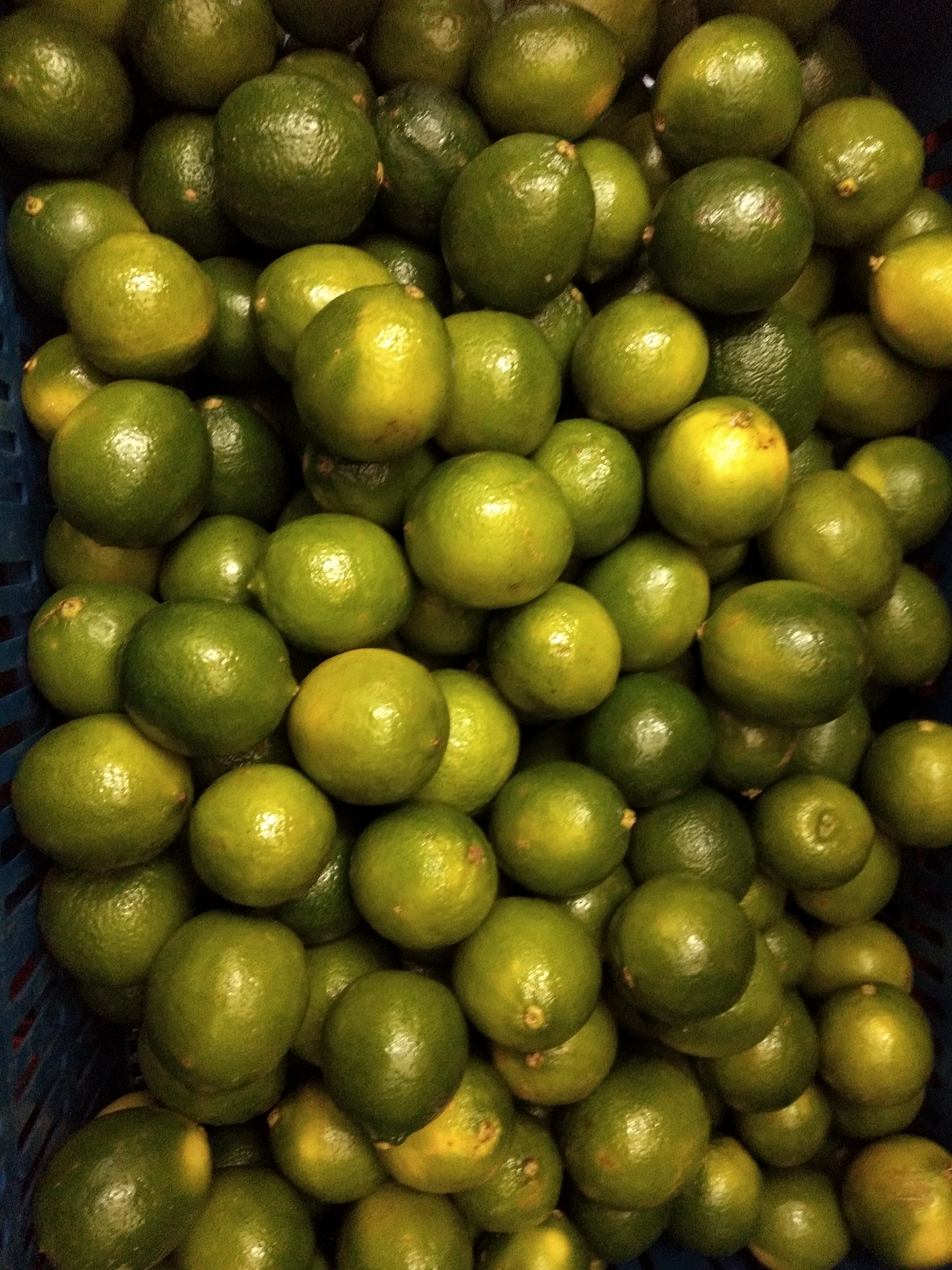Limón Tahití