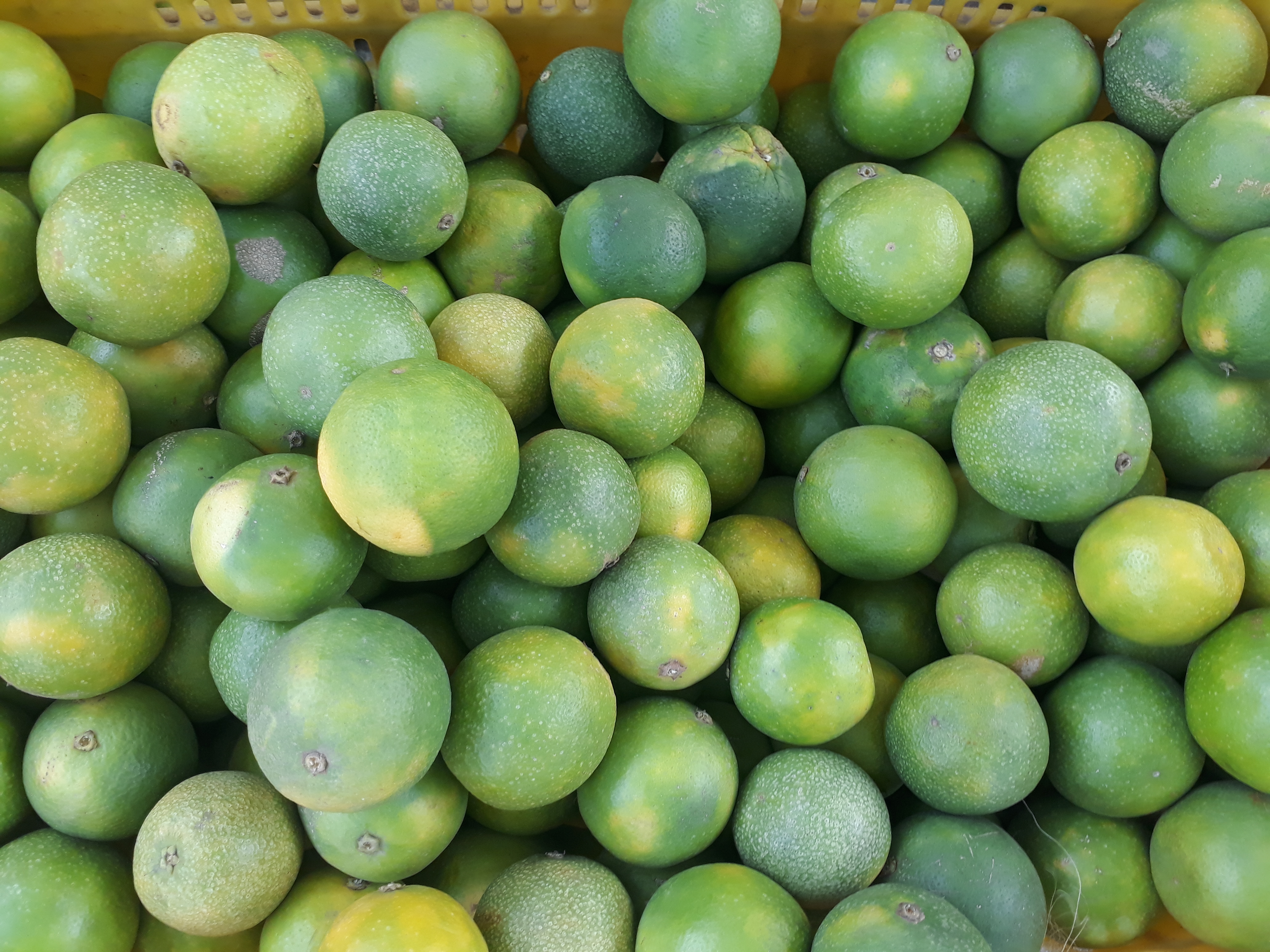 Naranja dulce