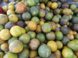 Naranja quindeana