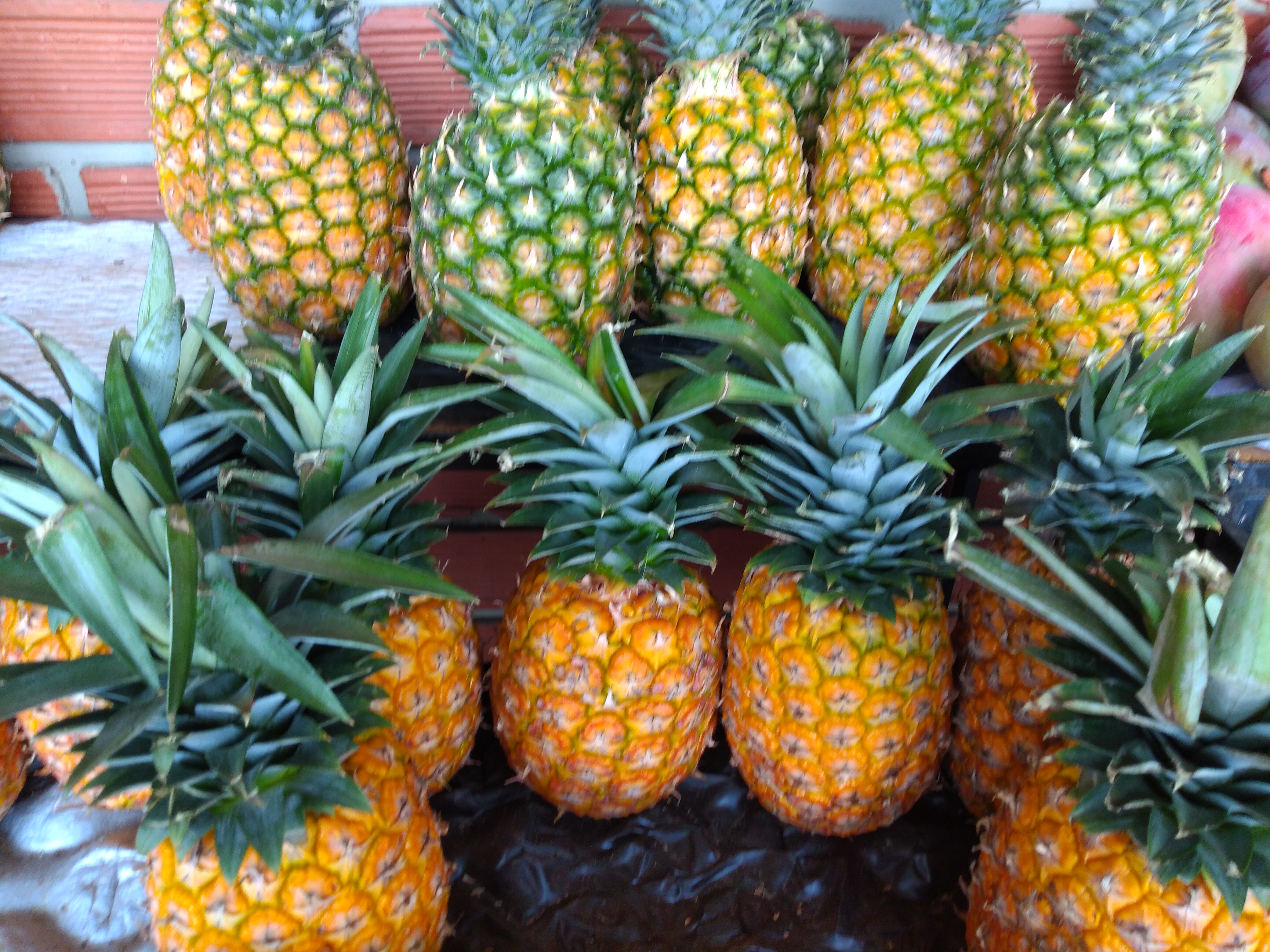 Piña oromiel