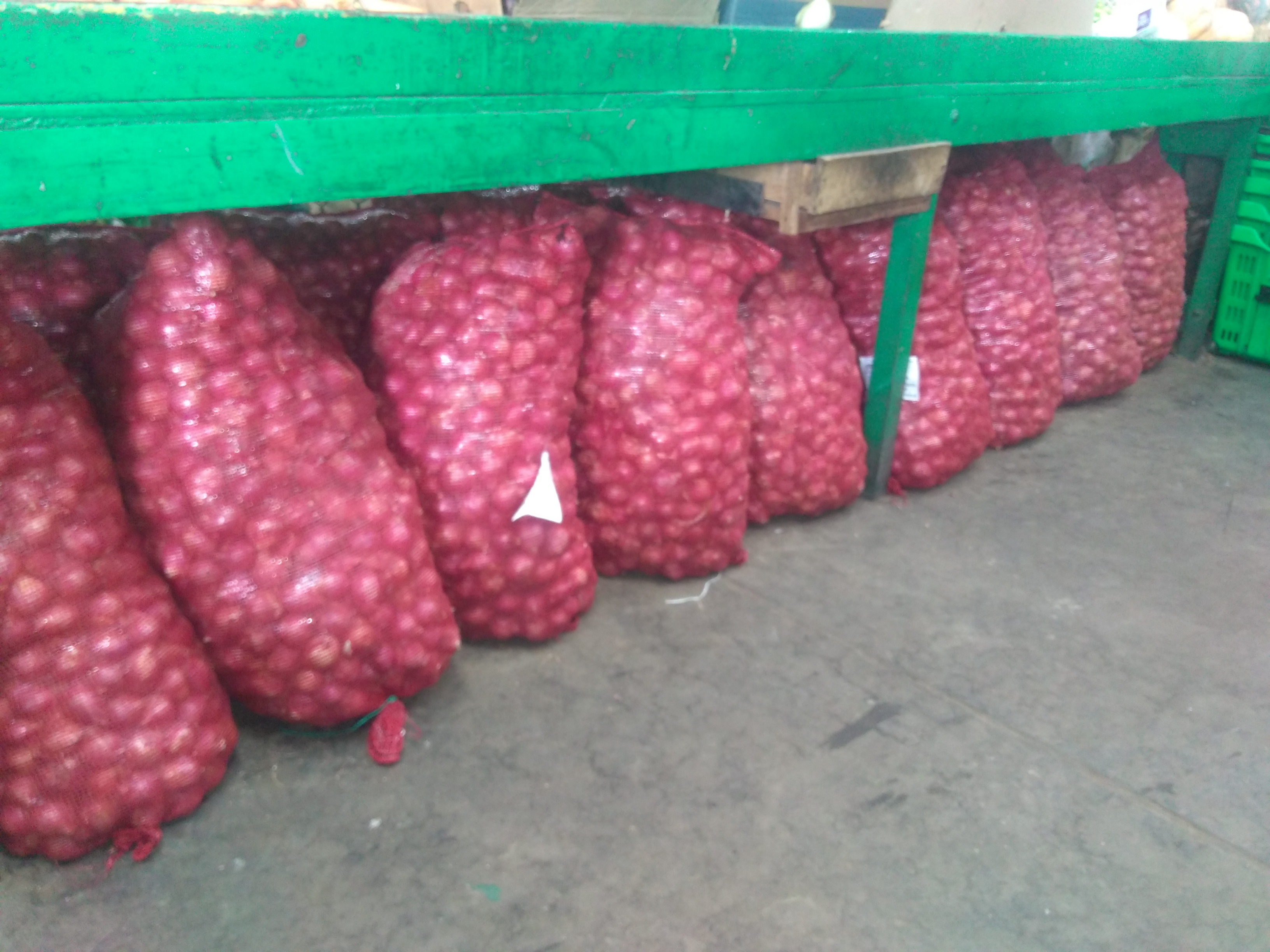 Cebolla peruana
