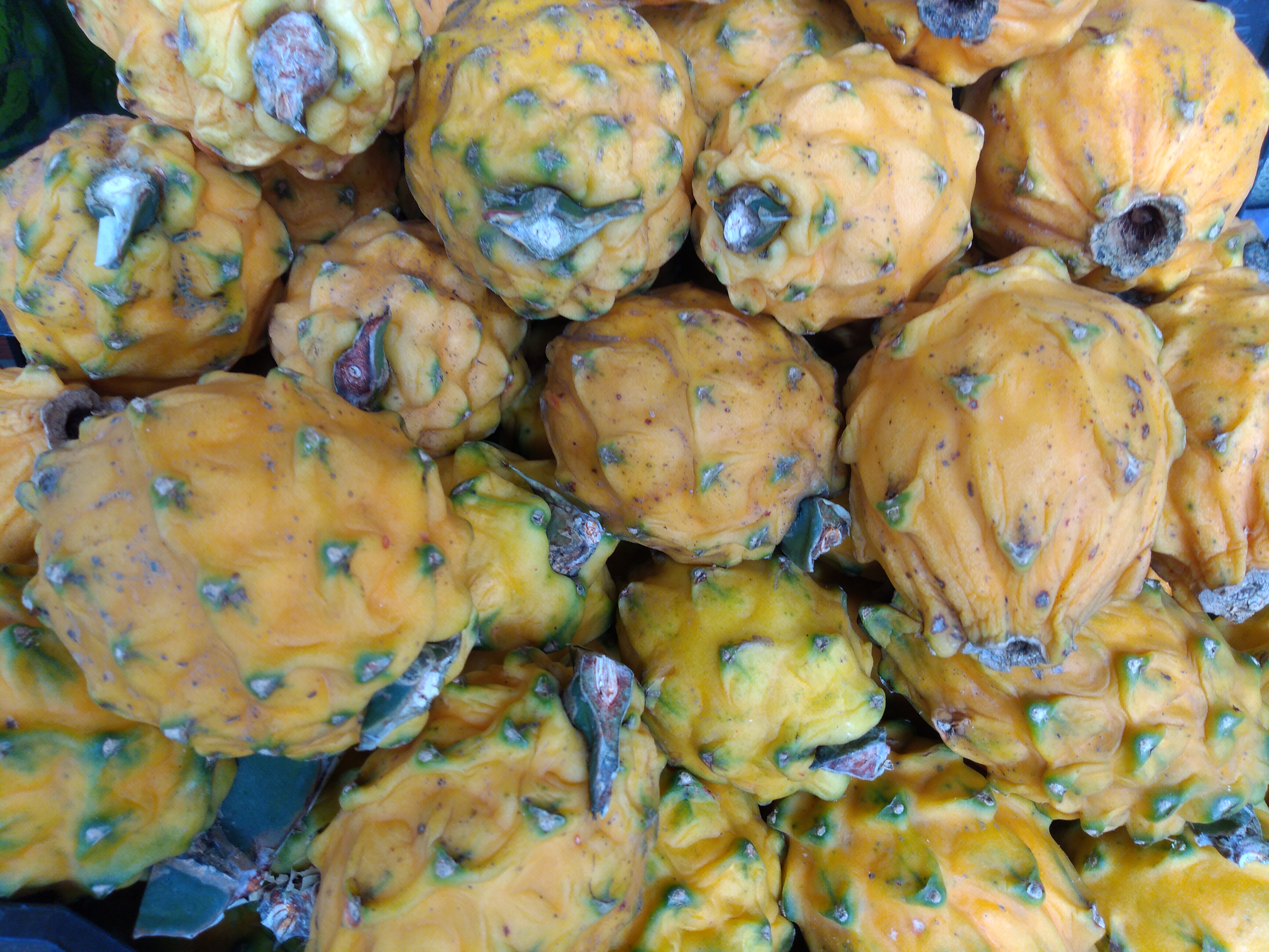 Pitaya