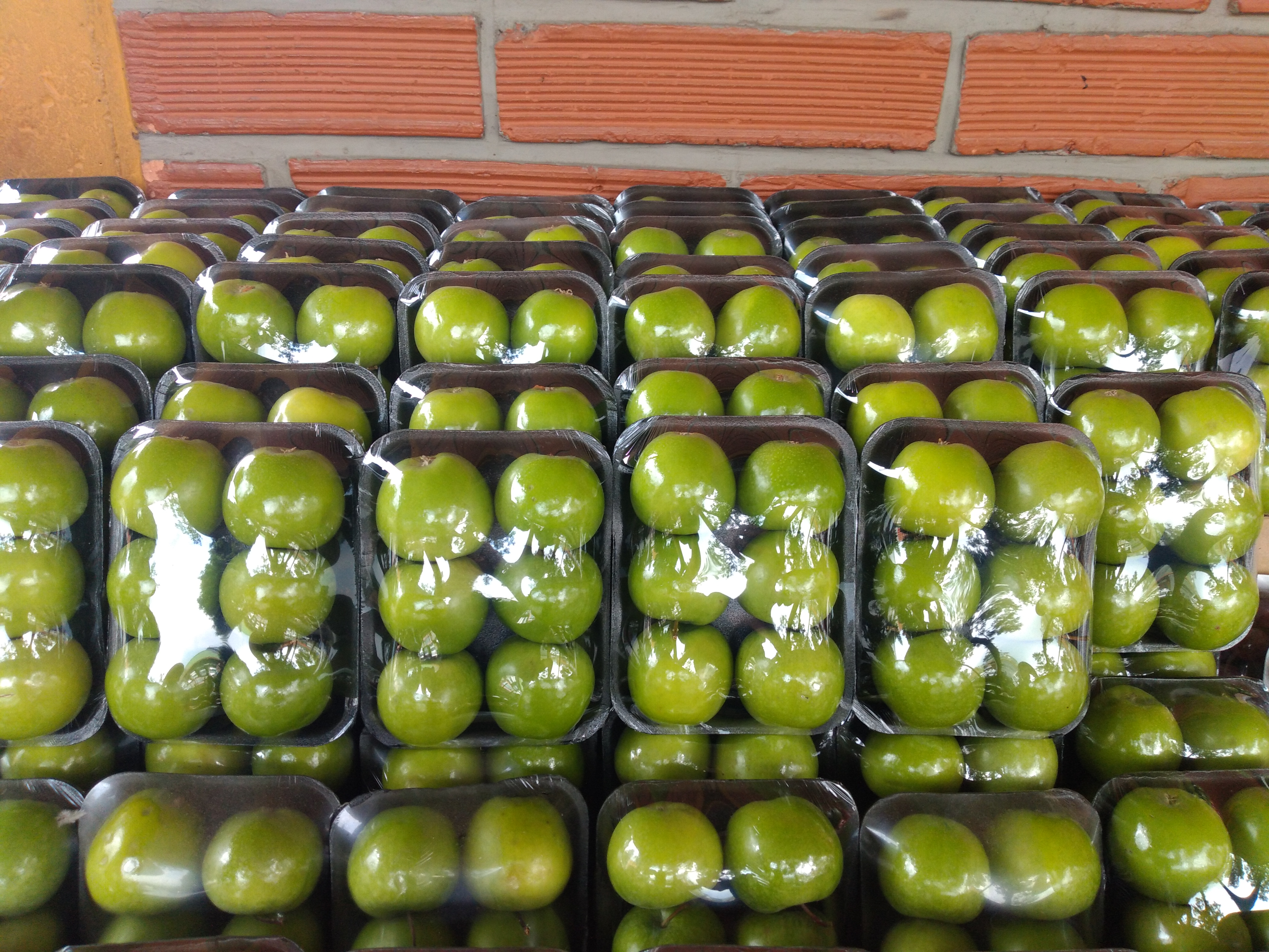 Manzana verde bandeja
