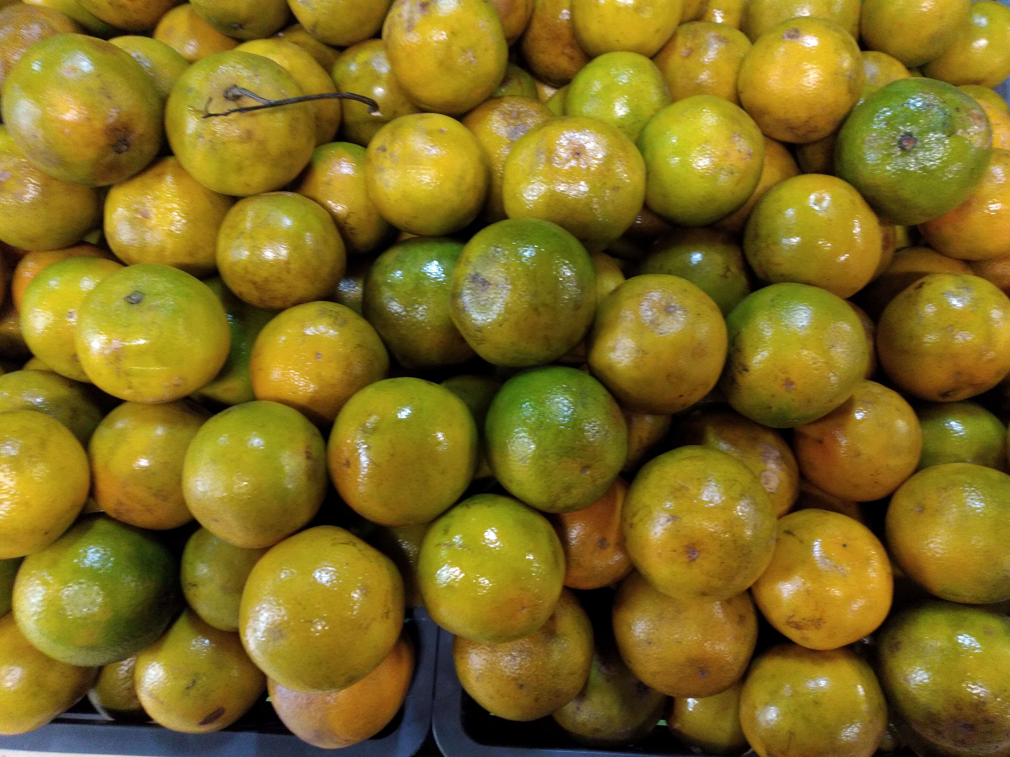 Naranja valencia