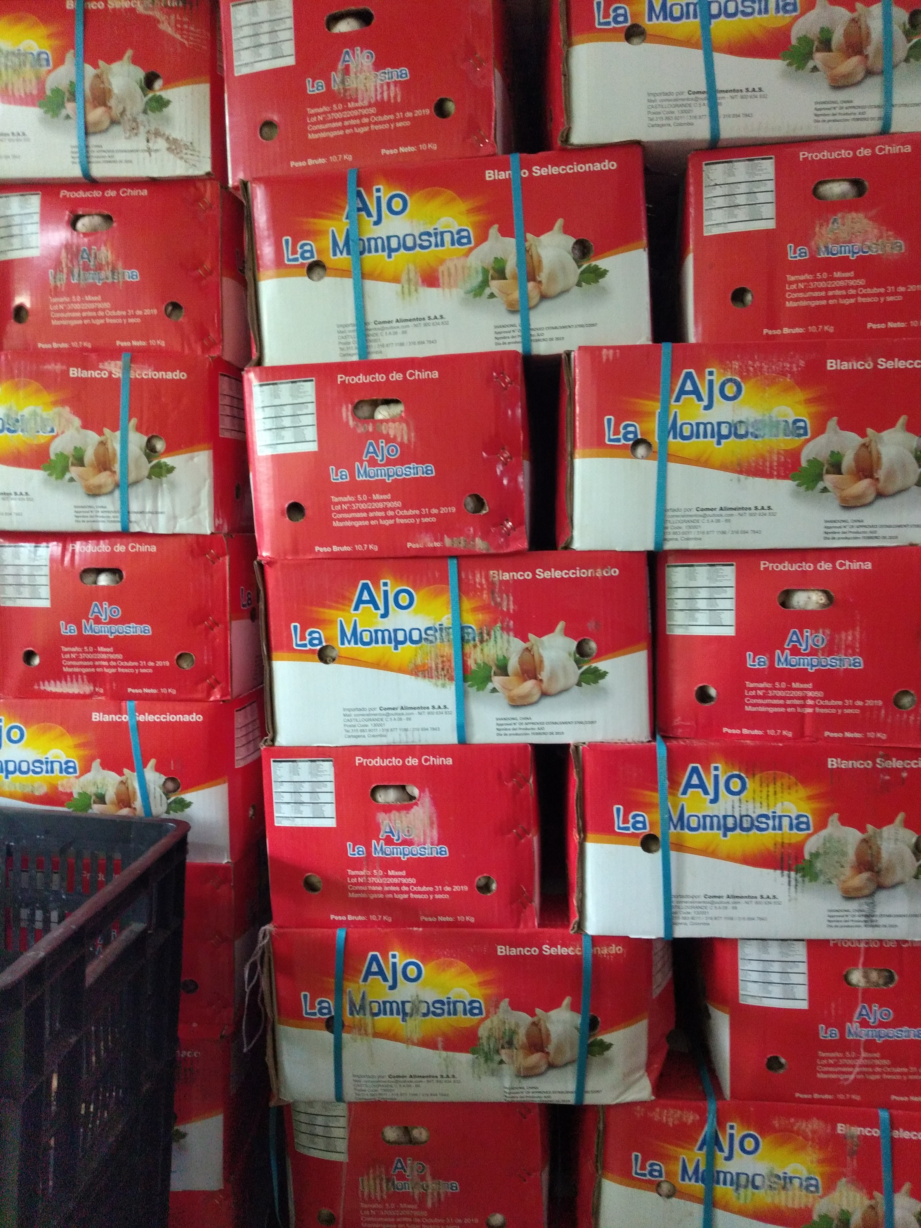 Ajo granel caja x 10 k
