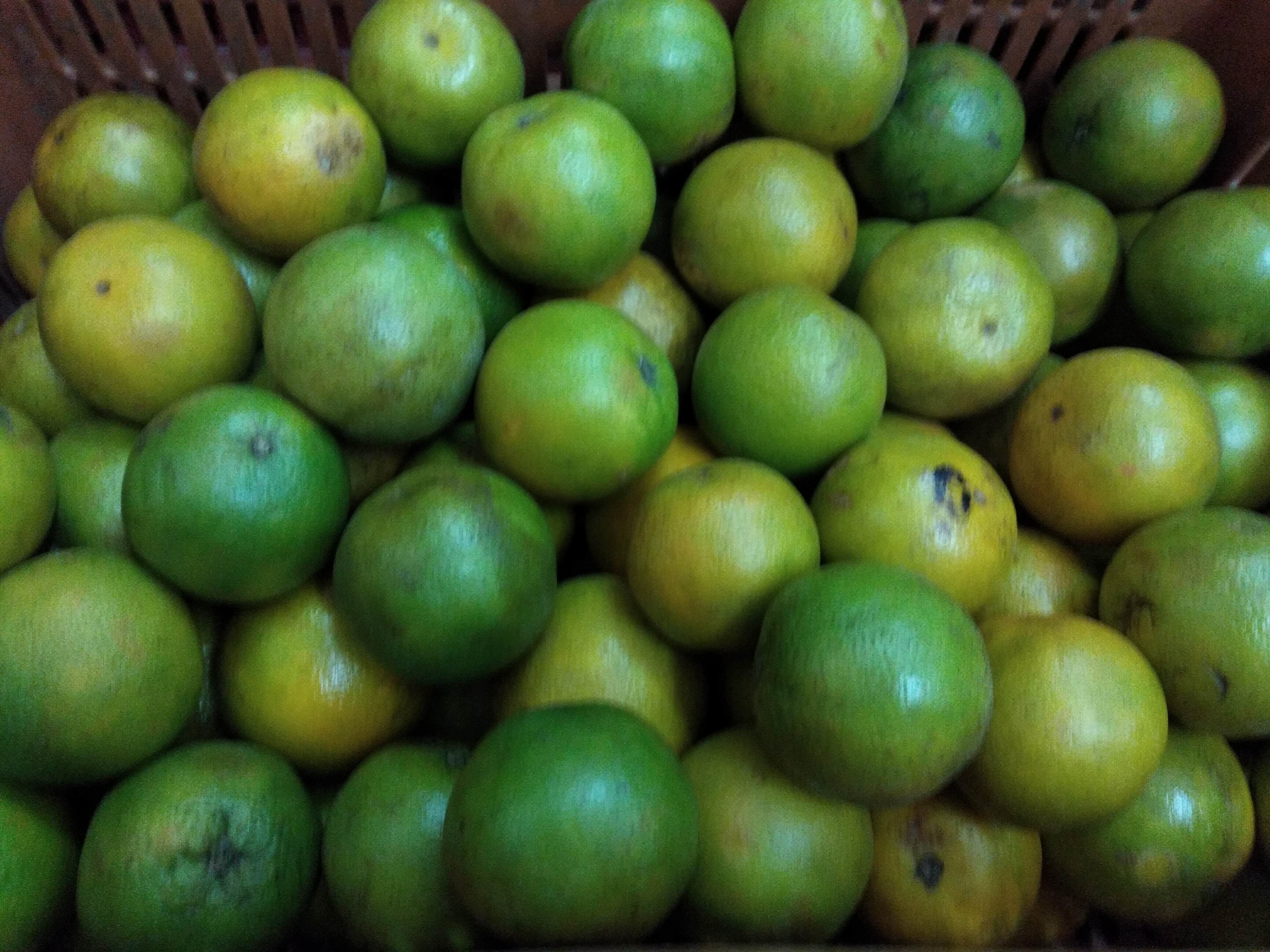 Naranja segunda