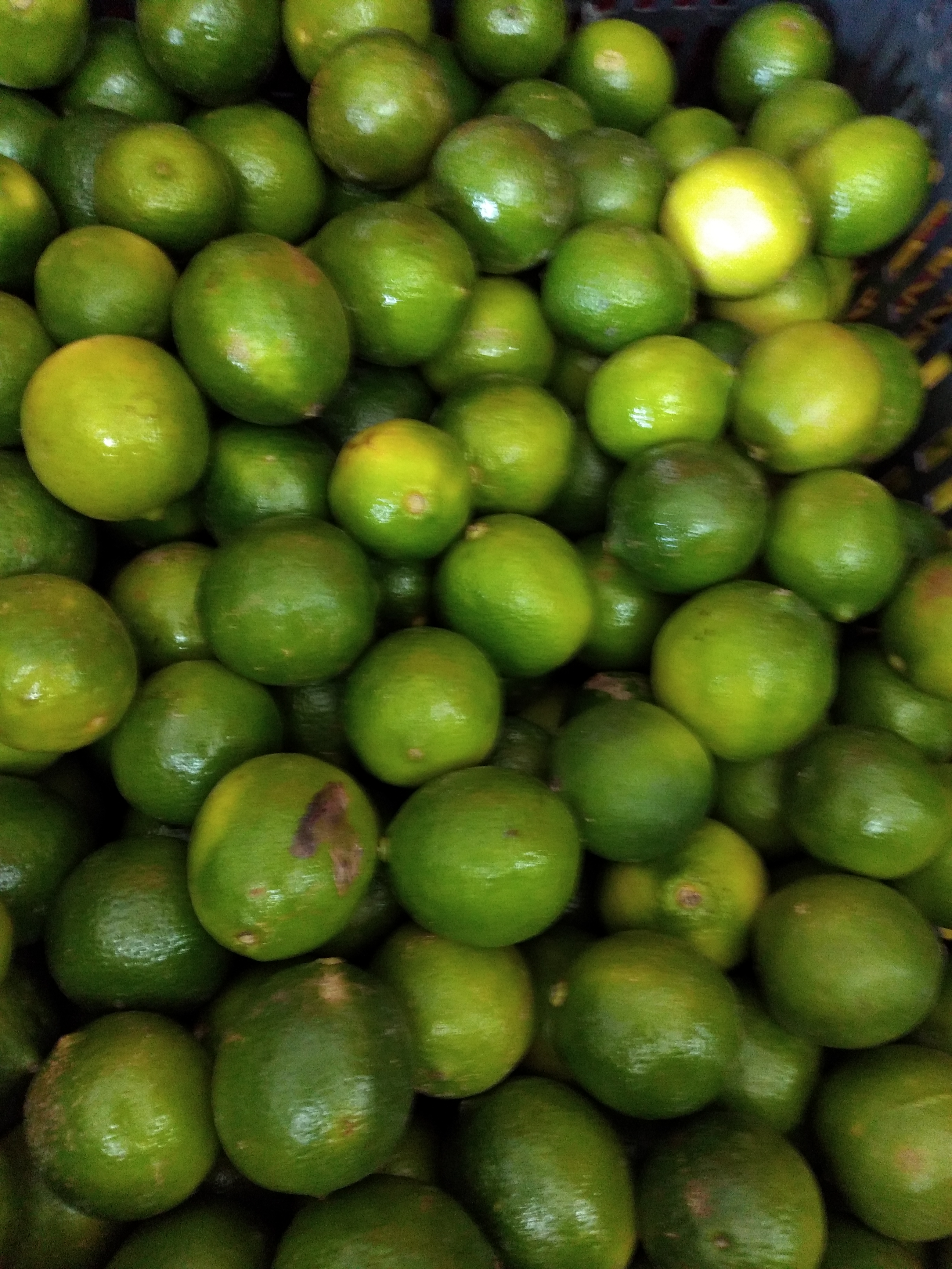 Limón Tahití