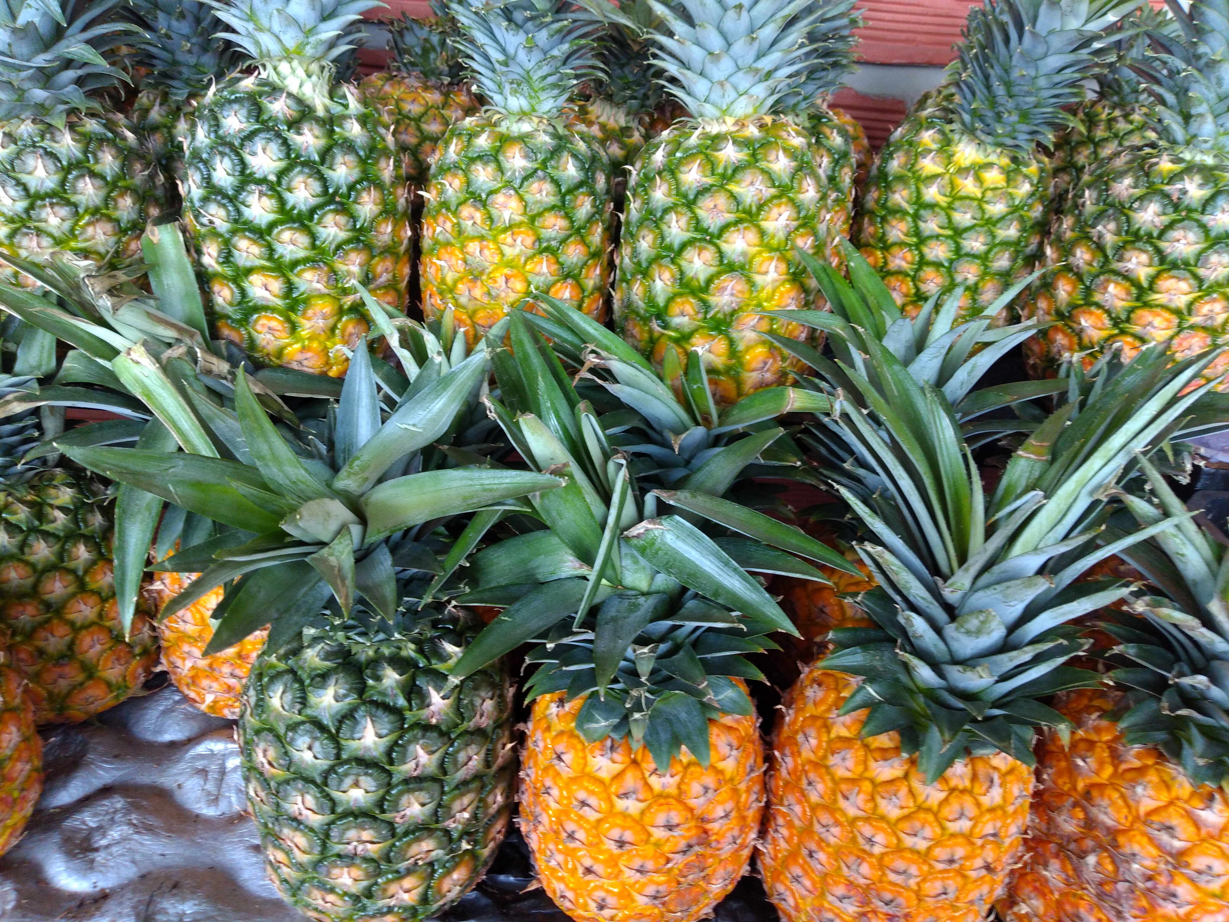 Piña oromiel
