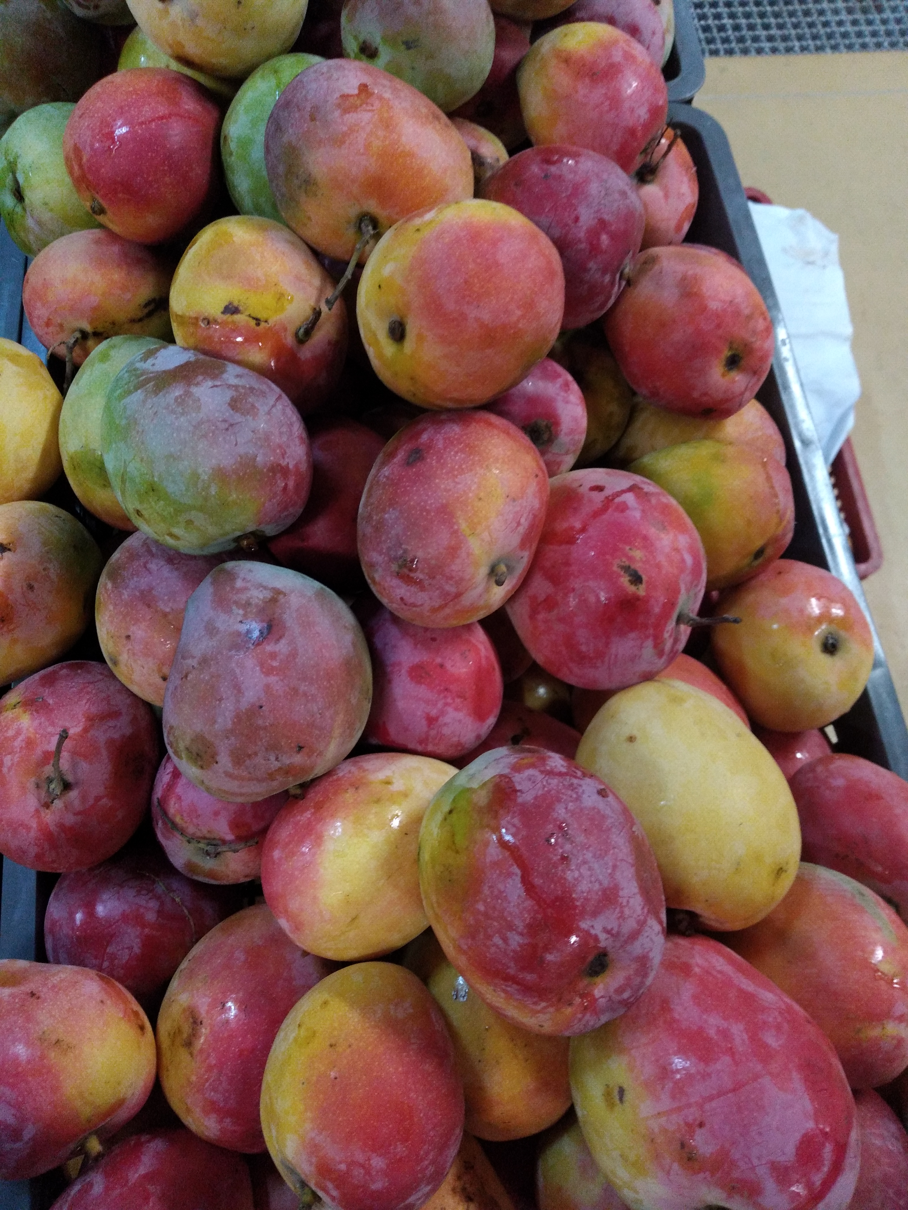 Mango manzano